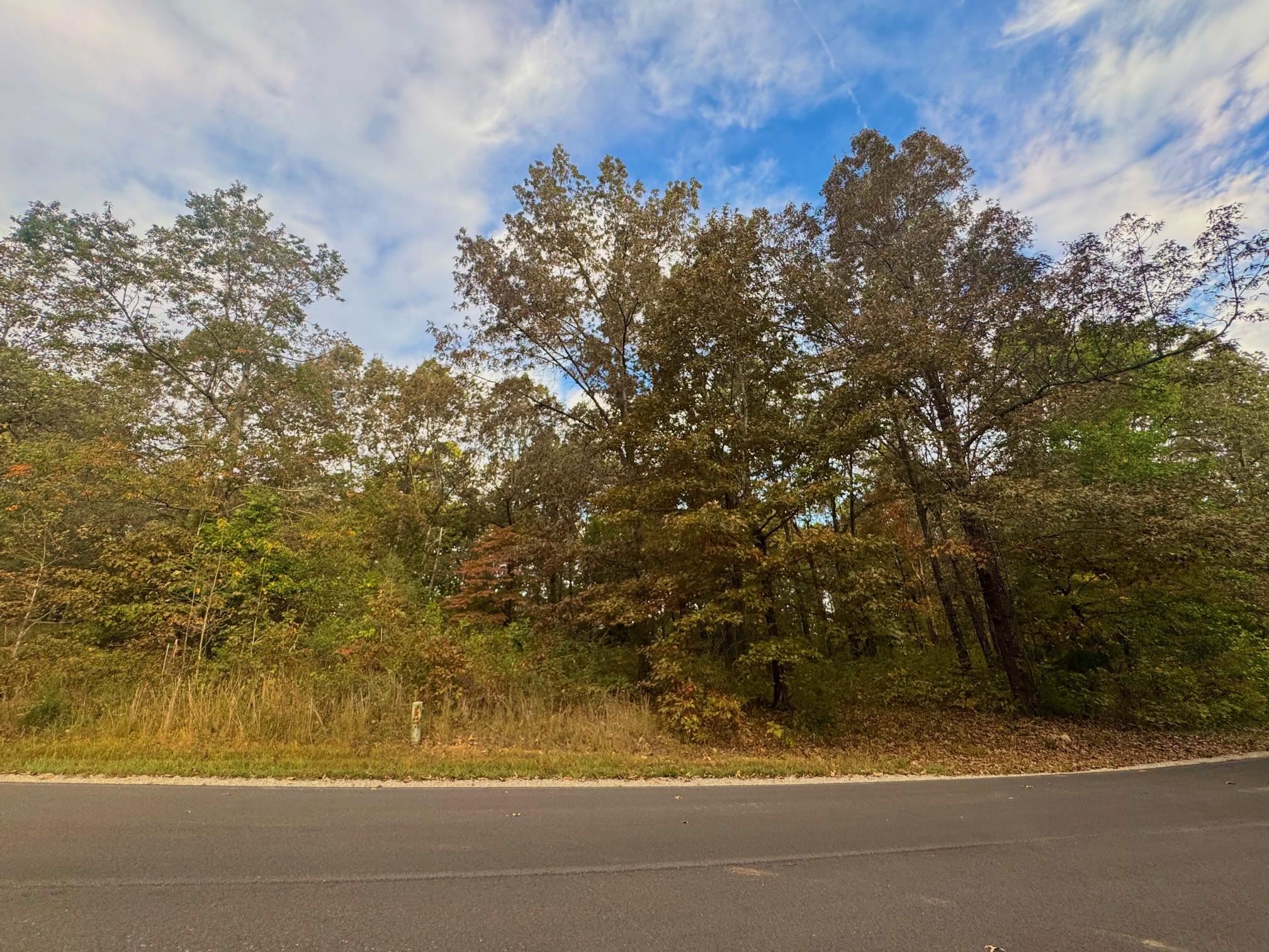 Lot 29 Goodwin Cove Lot 29, Goodwin Cove, Secluded Estates Ash Flat, AR