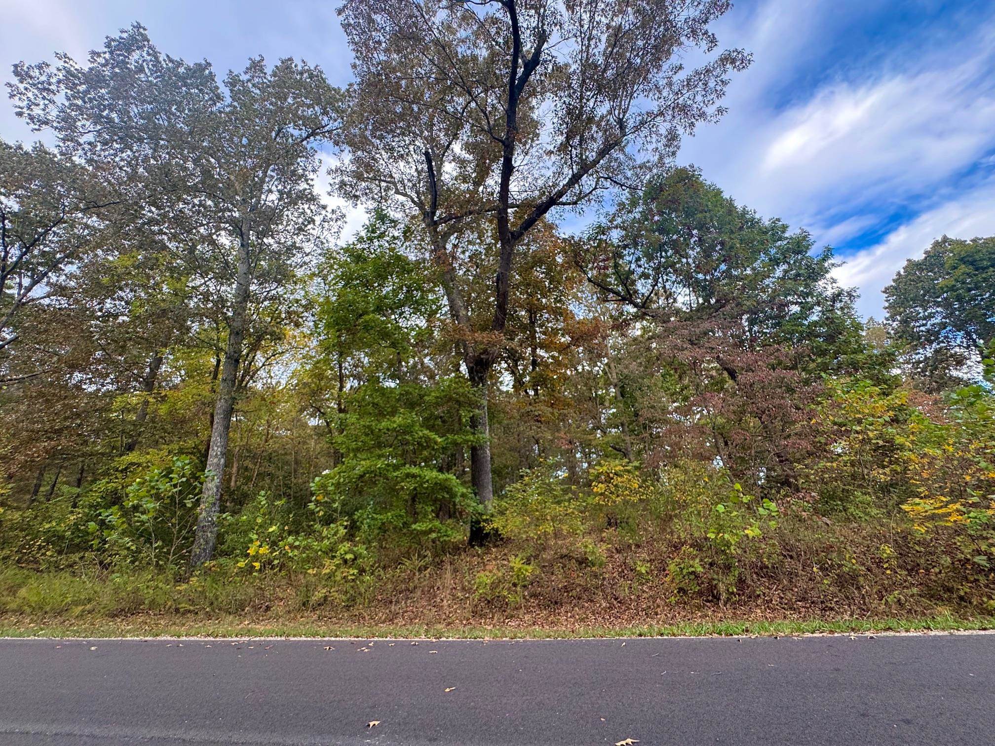 Lot 29 Goodwin Cove Lot 29, Goodwin Cove, Secluded Estates Ash Flat, AR