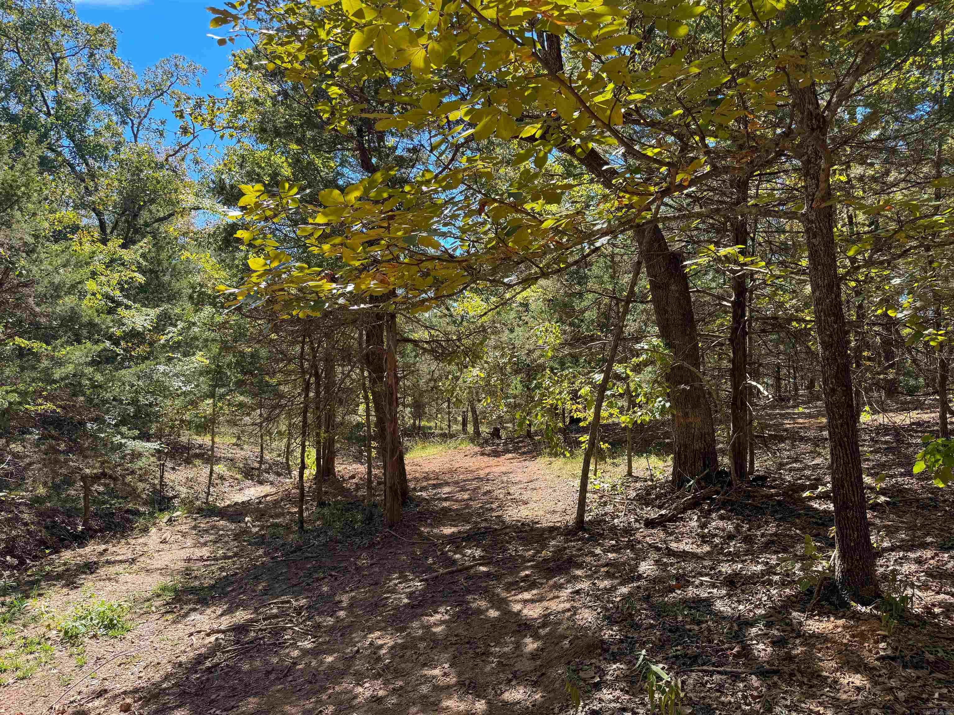 141 Wilderness  Greenbrier, AR