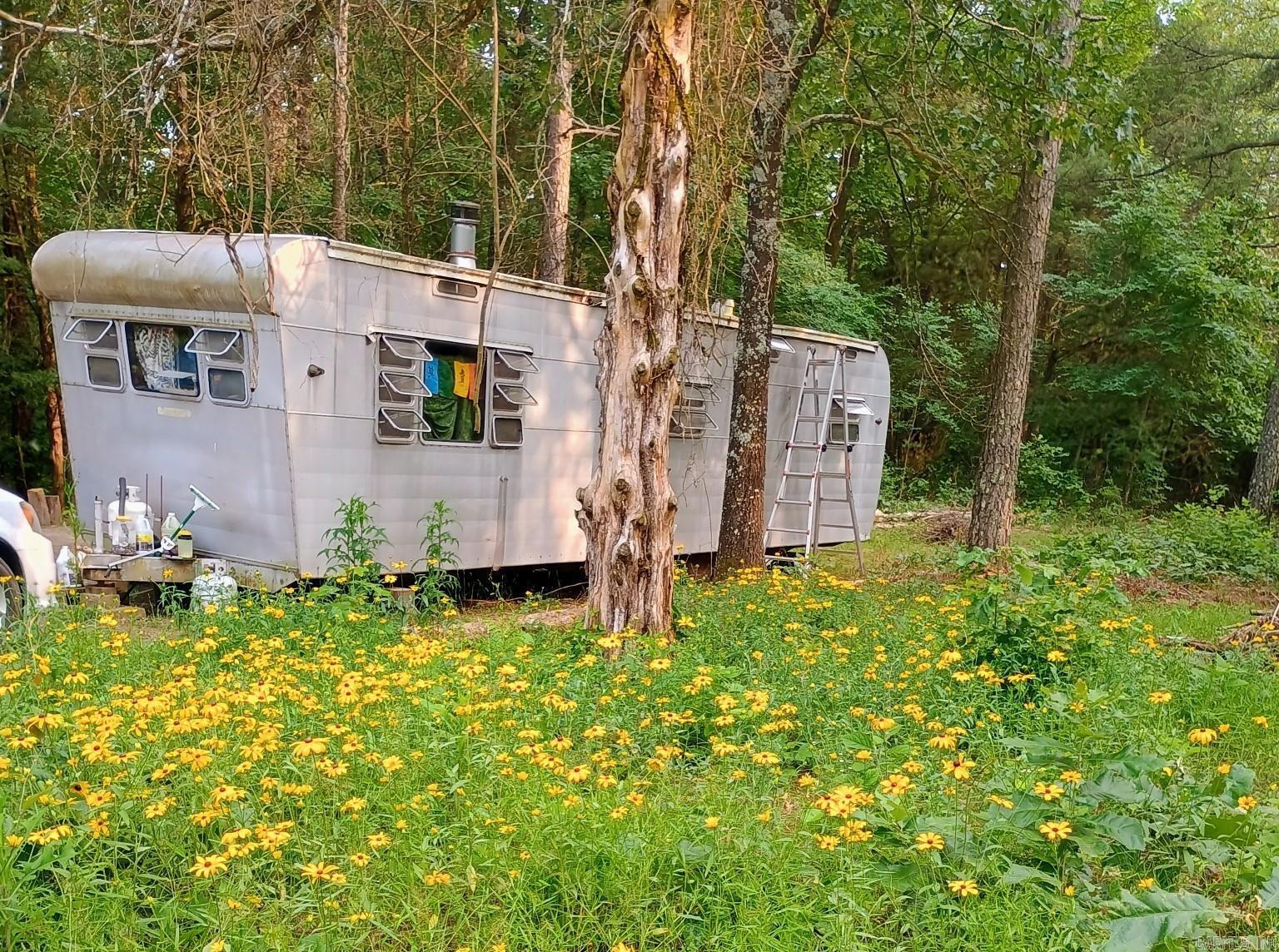 313 Bobbits  Clinton, AR