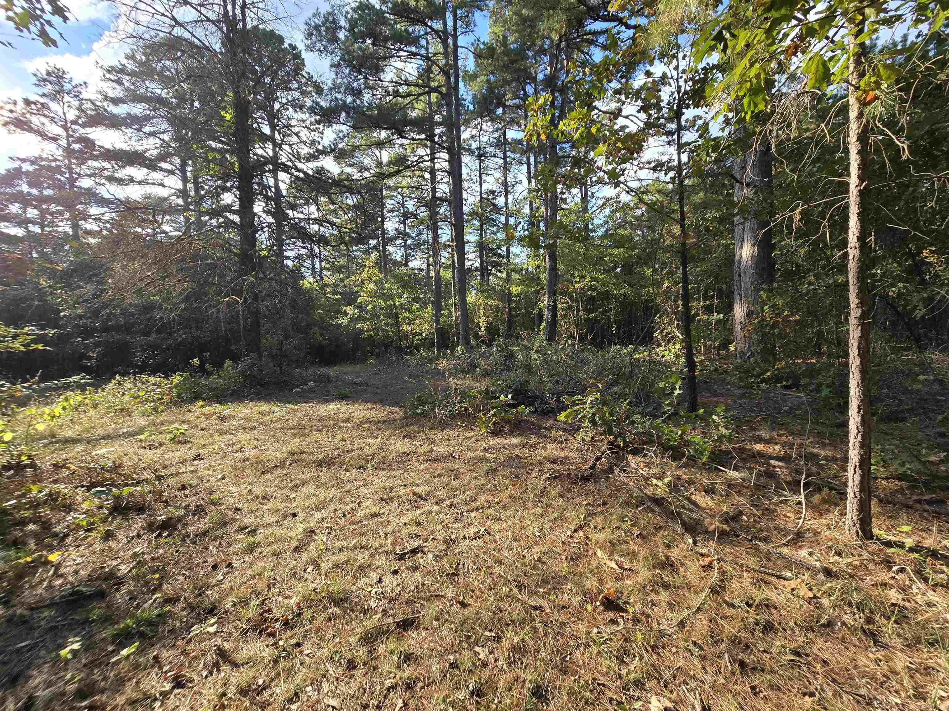 313 Bobbits  Clinton, AR