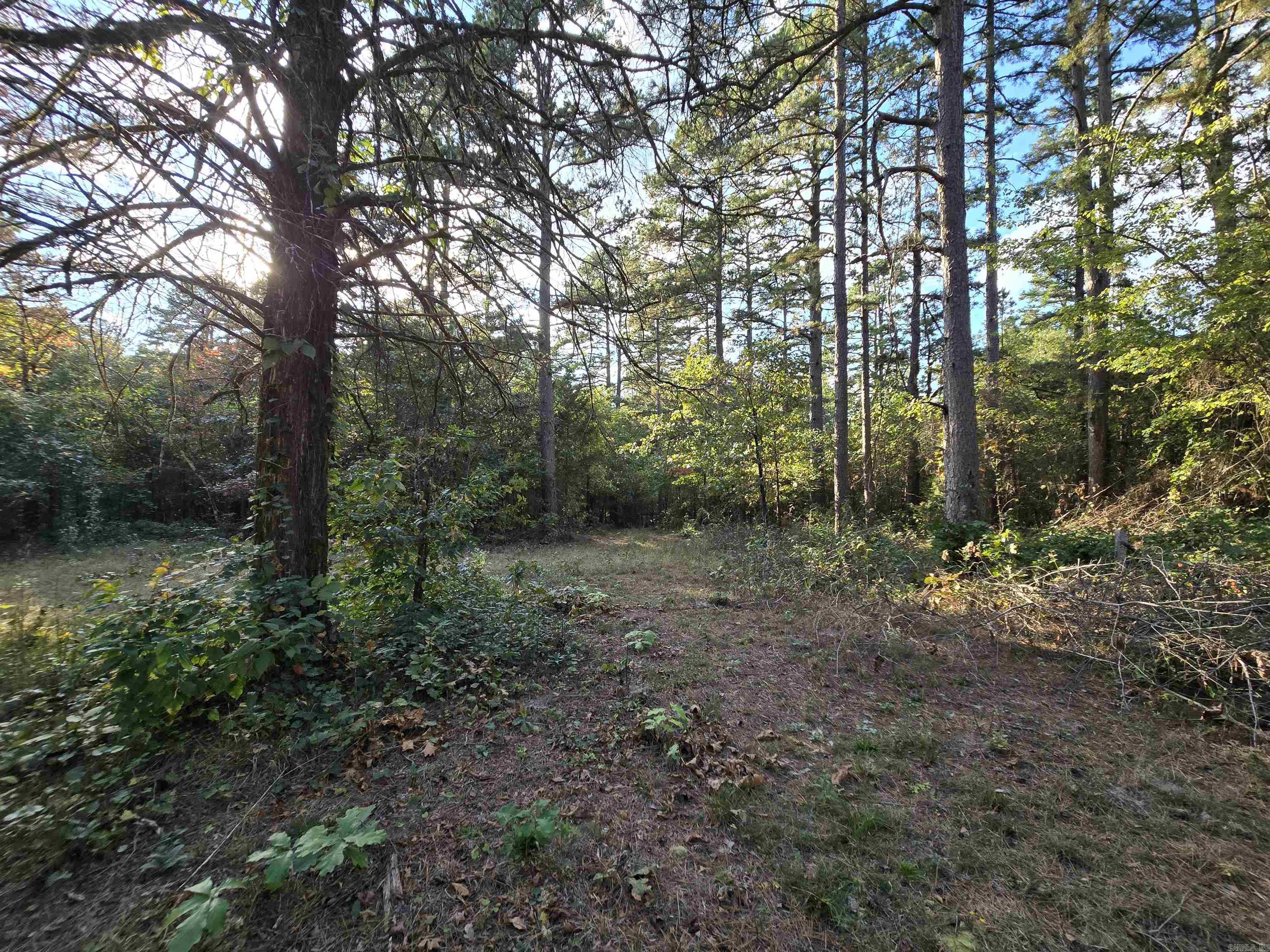 313 Bobbits  Clinton, AR