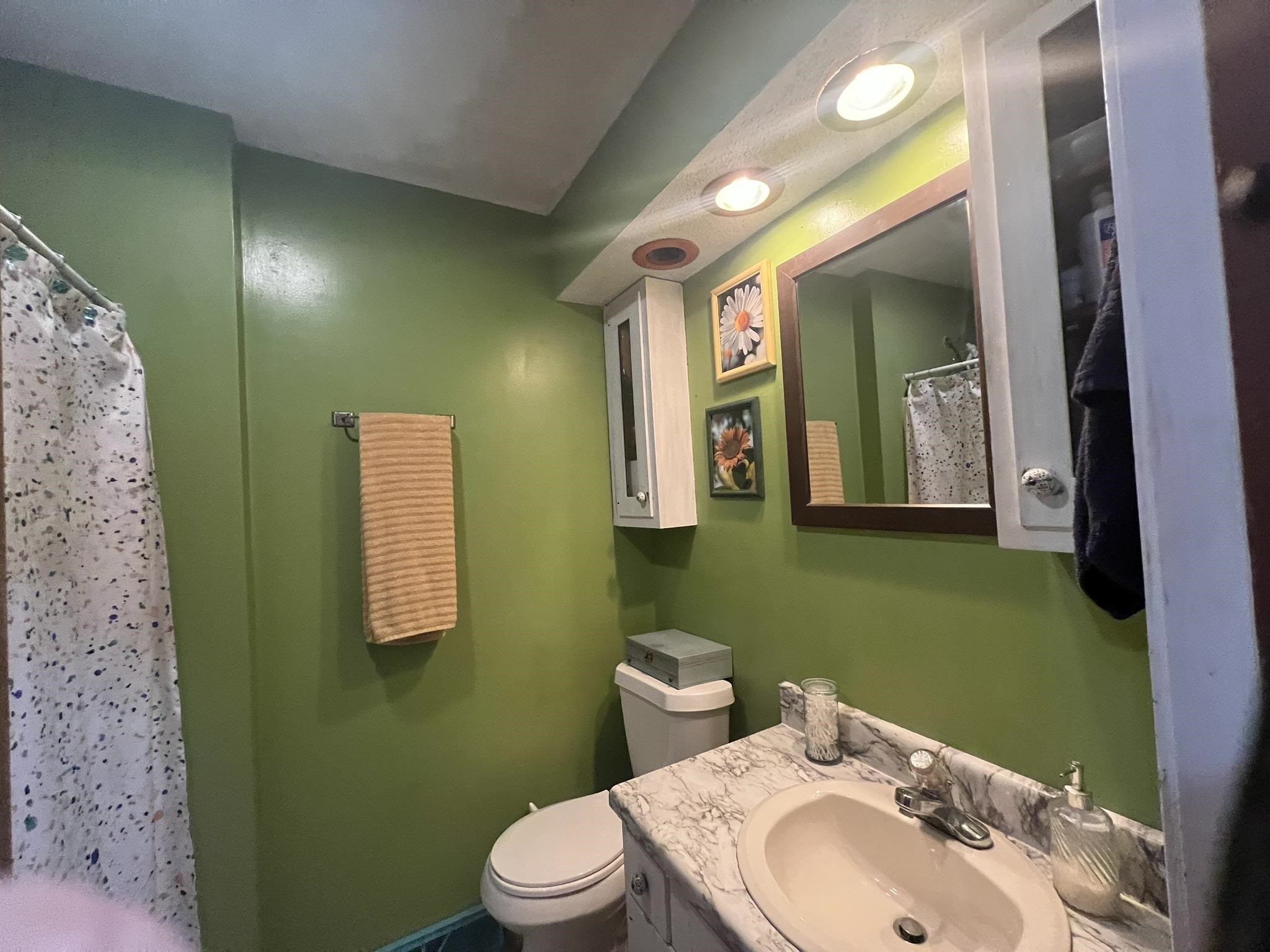 129 Wahoo Dr  Cherokee Village, AR