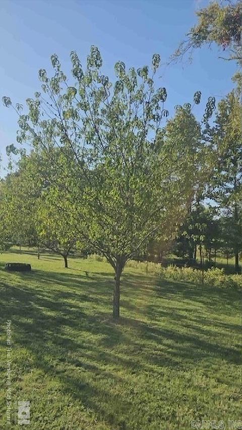 1186 COUNTY ROAD 1780  London, AR