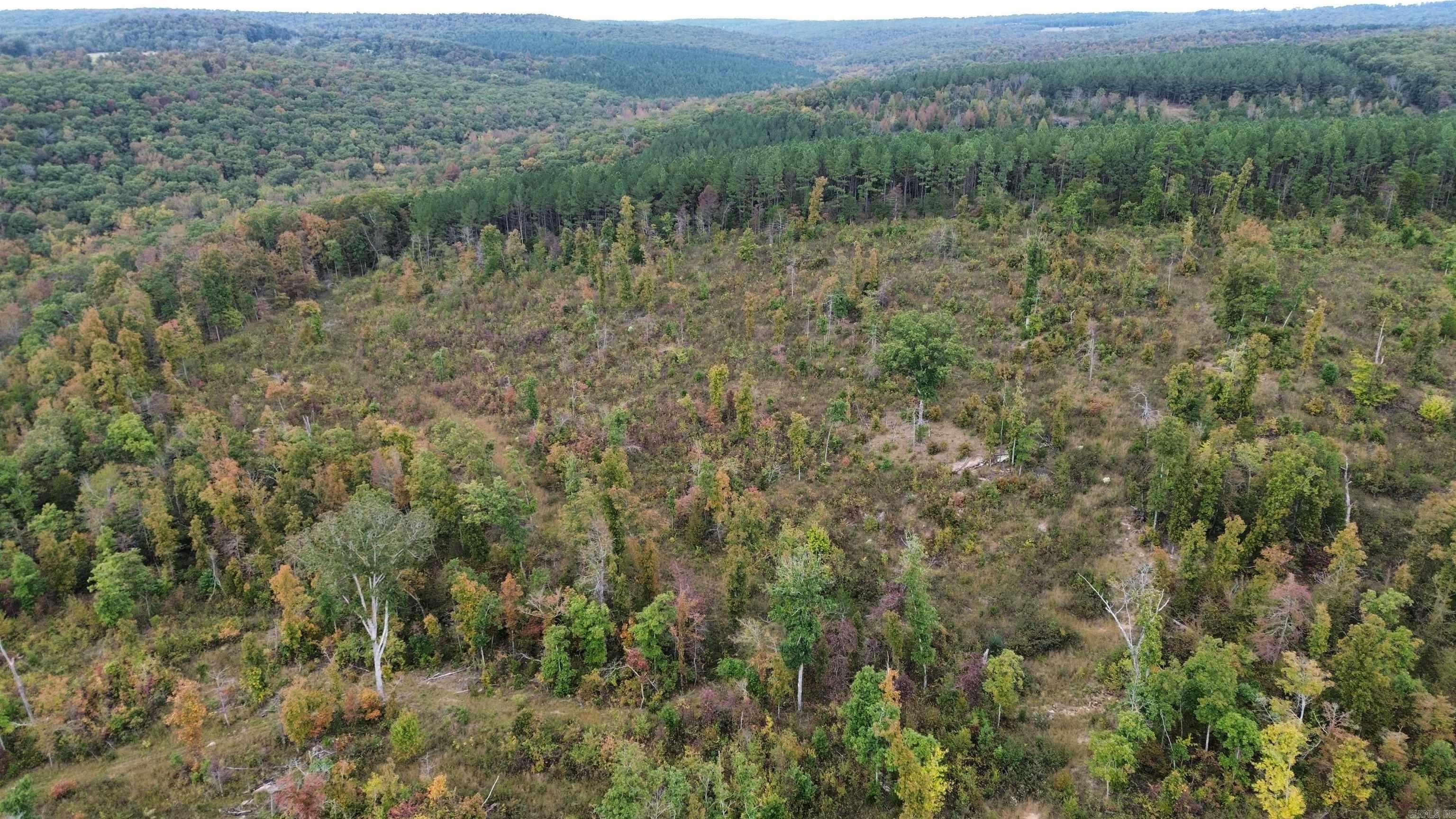 0001 Dodd Mountain  Shirley, AR