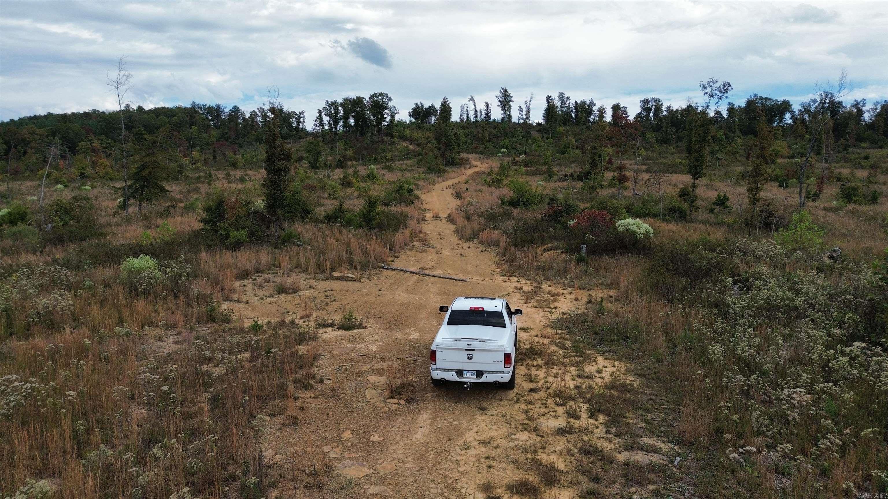 0001 Dodd Mountain  Shirley, AR