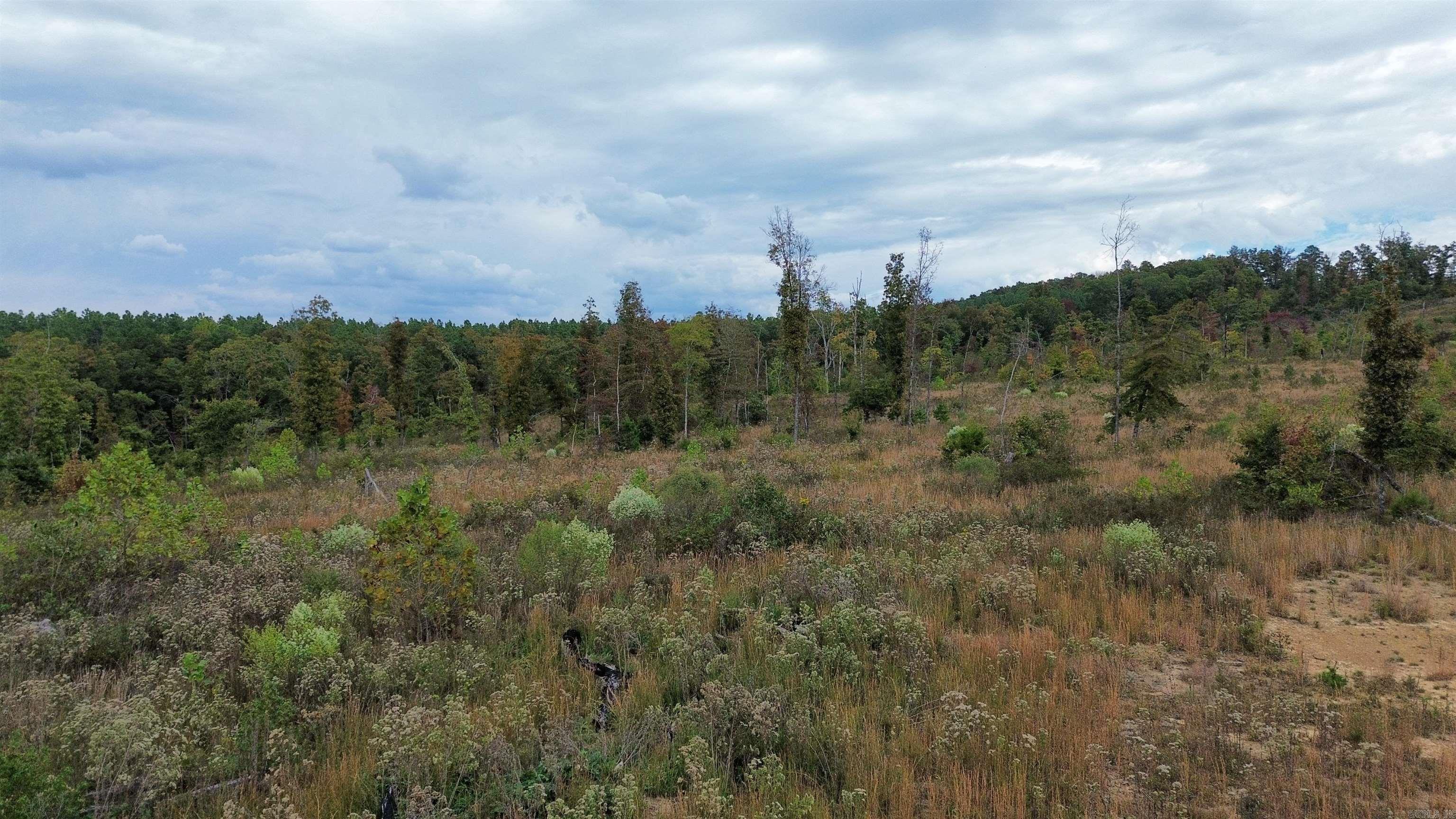 0001 Dodd Mountain  Shirley, AR