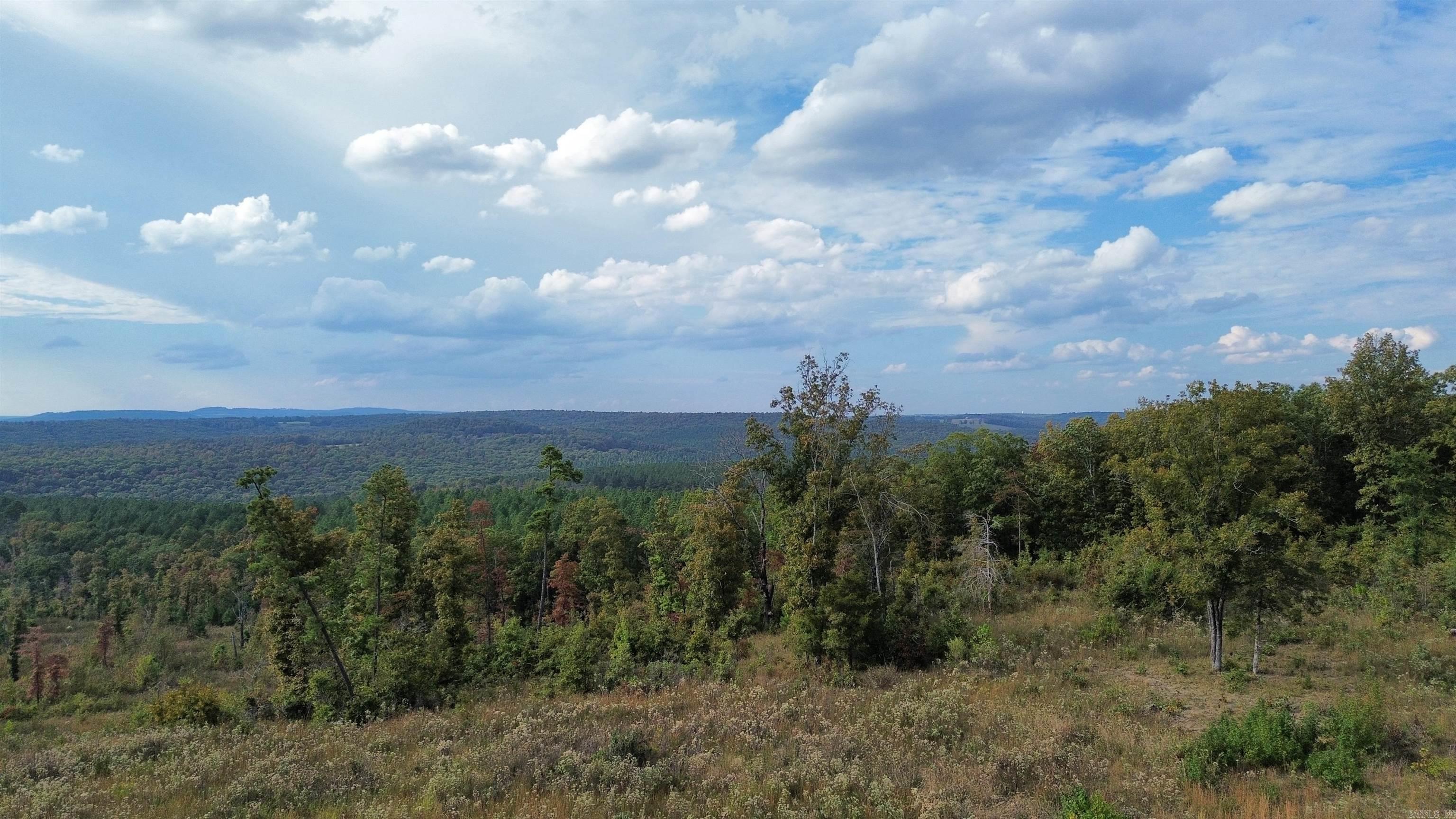 0001 Dodd Mountain  Shirley, AR