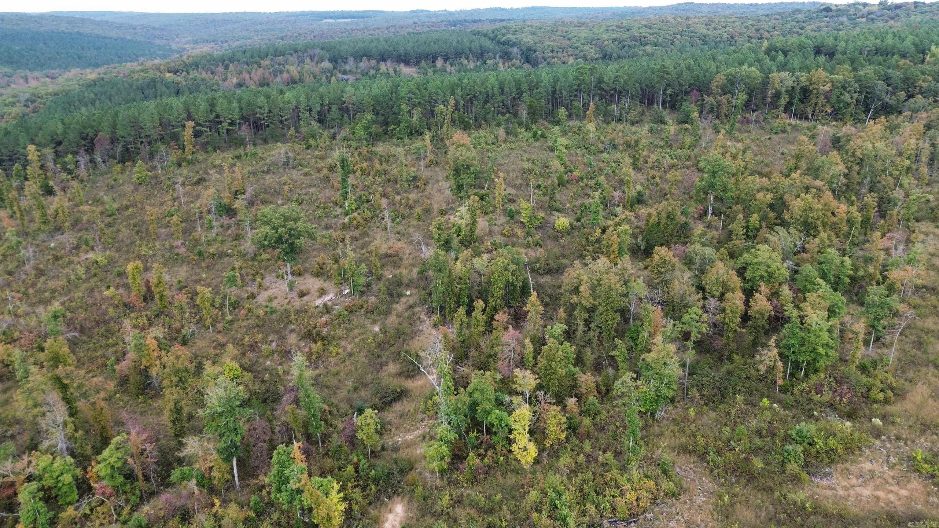 0001 Dodd Mountain  Shirley, AR