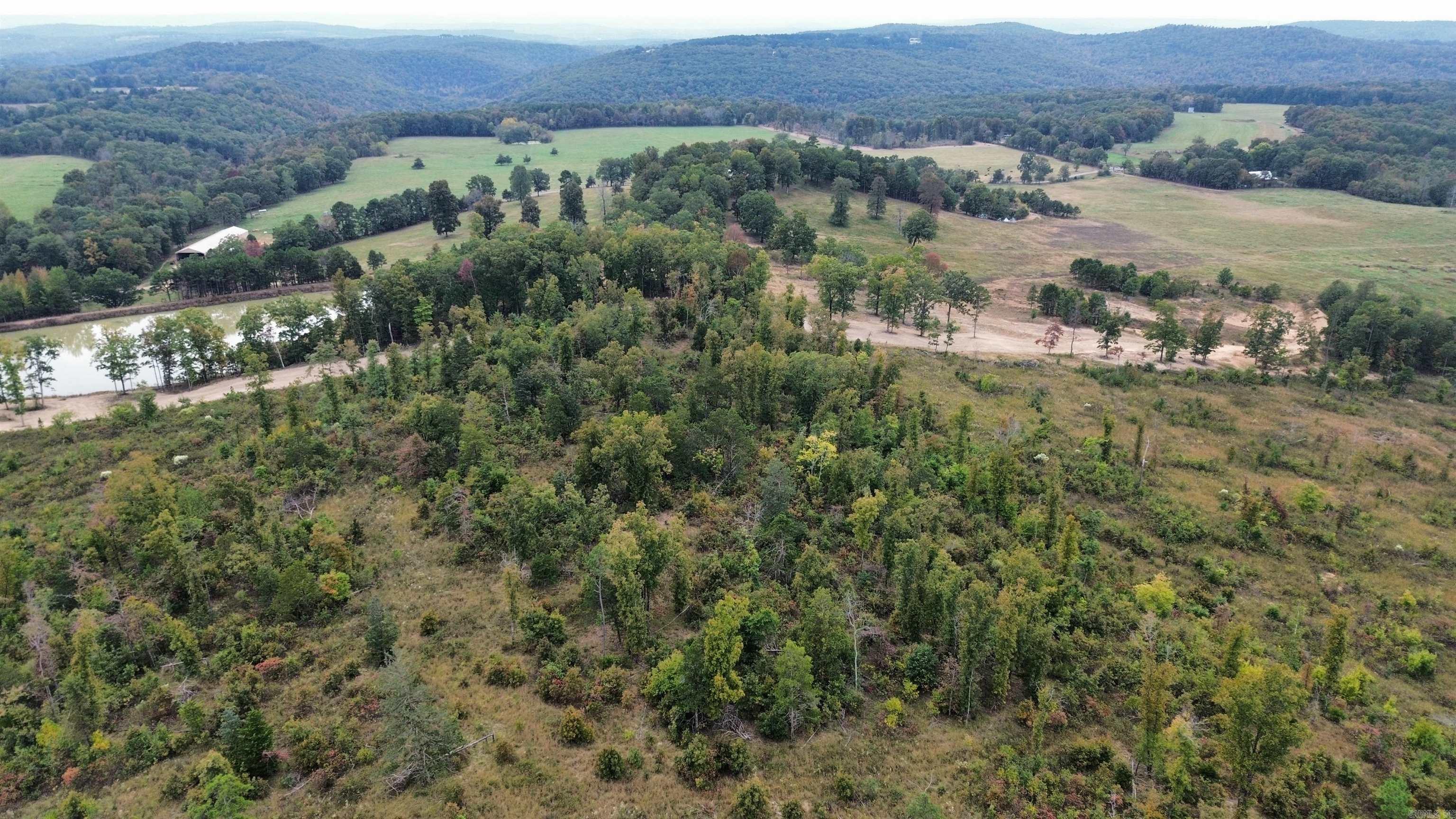 0001 Dodd Mountain  Shirley, AR