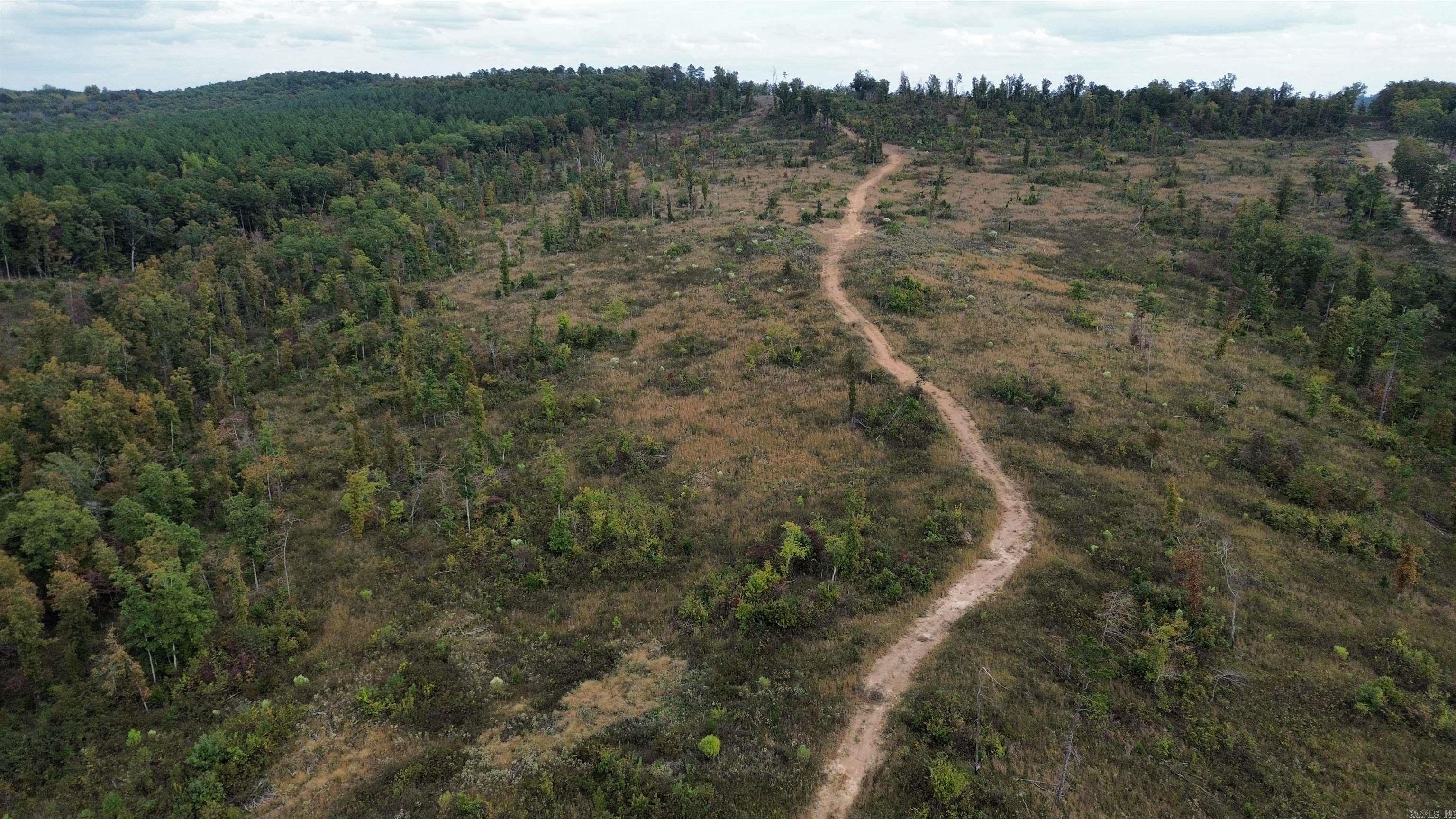 0001 Dodd Mountain  Shirley, AR