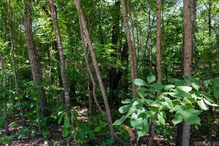 0 View Point  Bigelow, AR