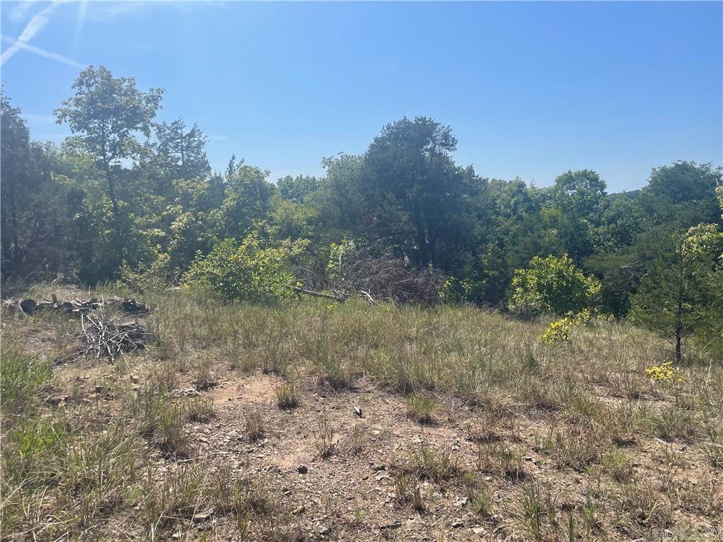 TBD (14.43 ac) MC 2048  Lead Hill, AR