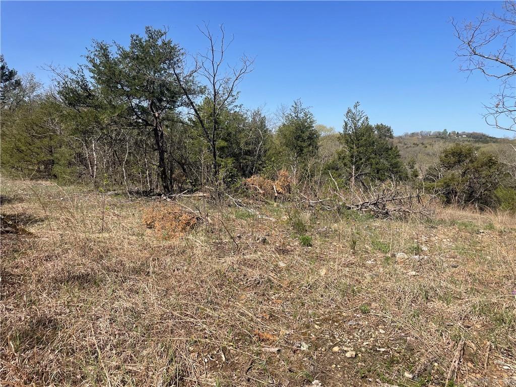 TBD (14.43 ac) MC 2048  Lead Hill, AR