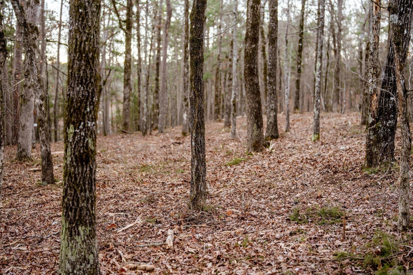 Lot 5 Vida Del Lago Subdivision  Greers Ferry, AR