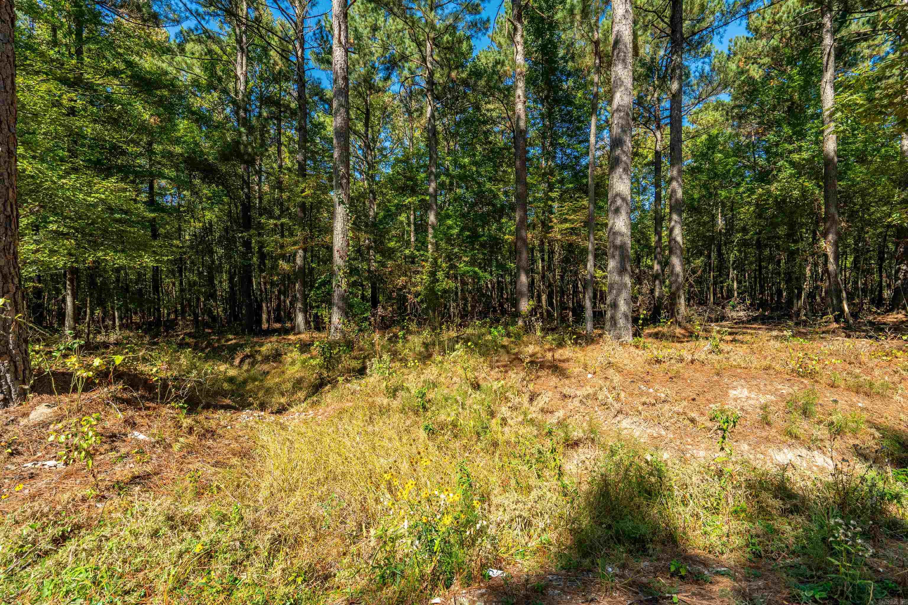 001 Stihl Rd 7.00 Hot Springs, AR