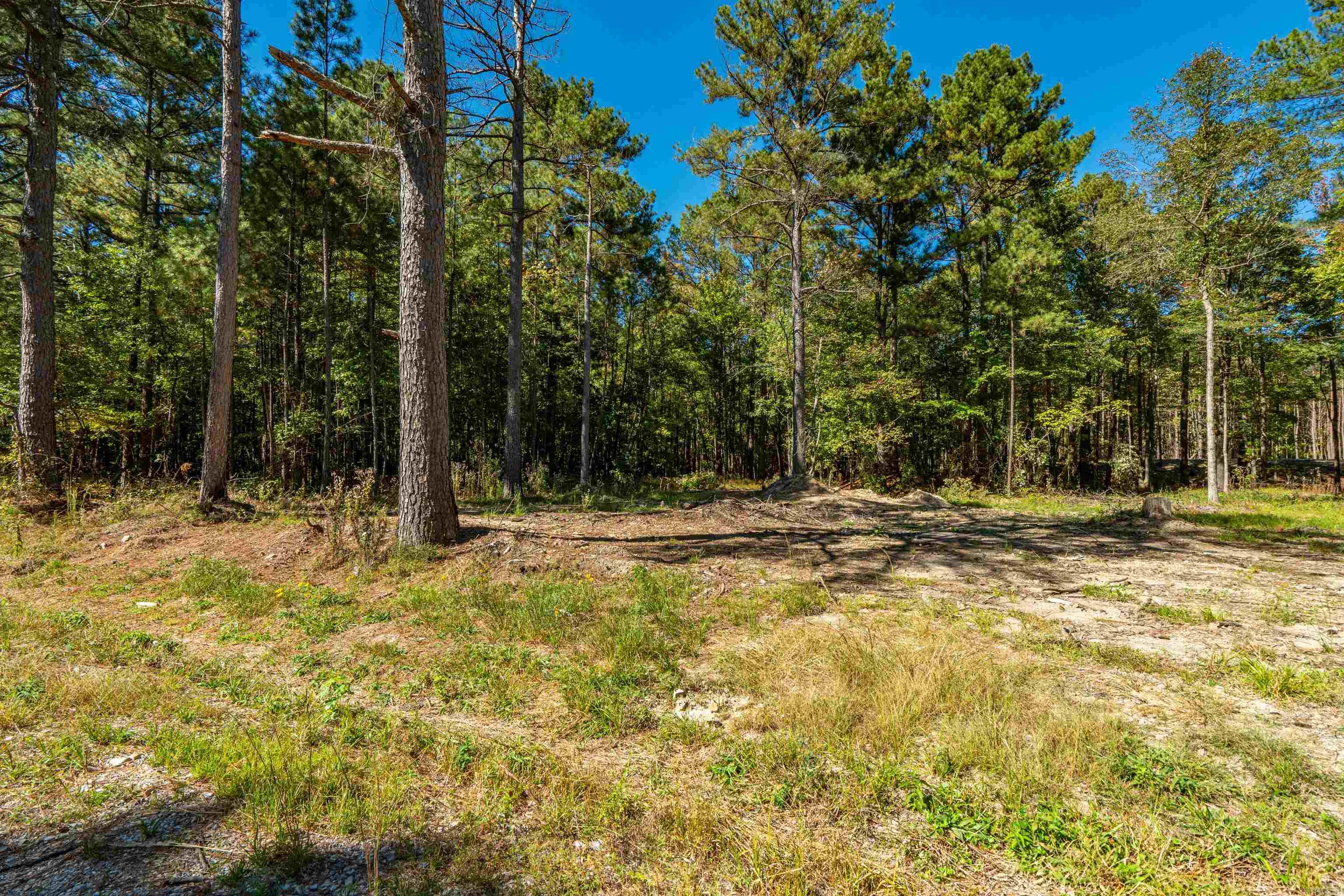 001 Stihl Rd 7.00 Hot Springs, AR