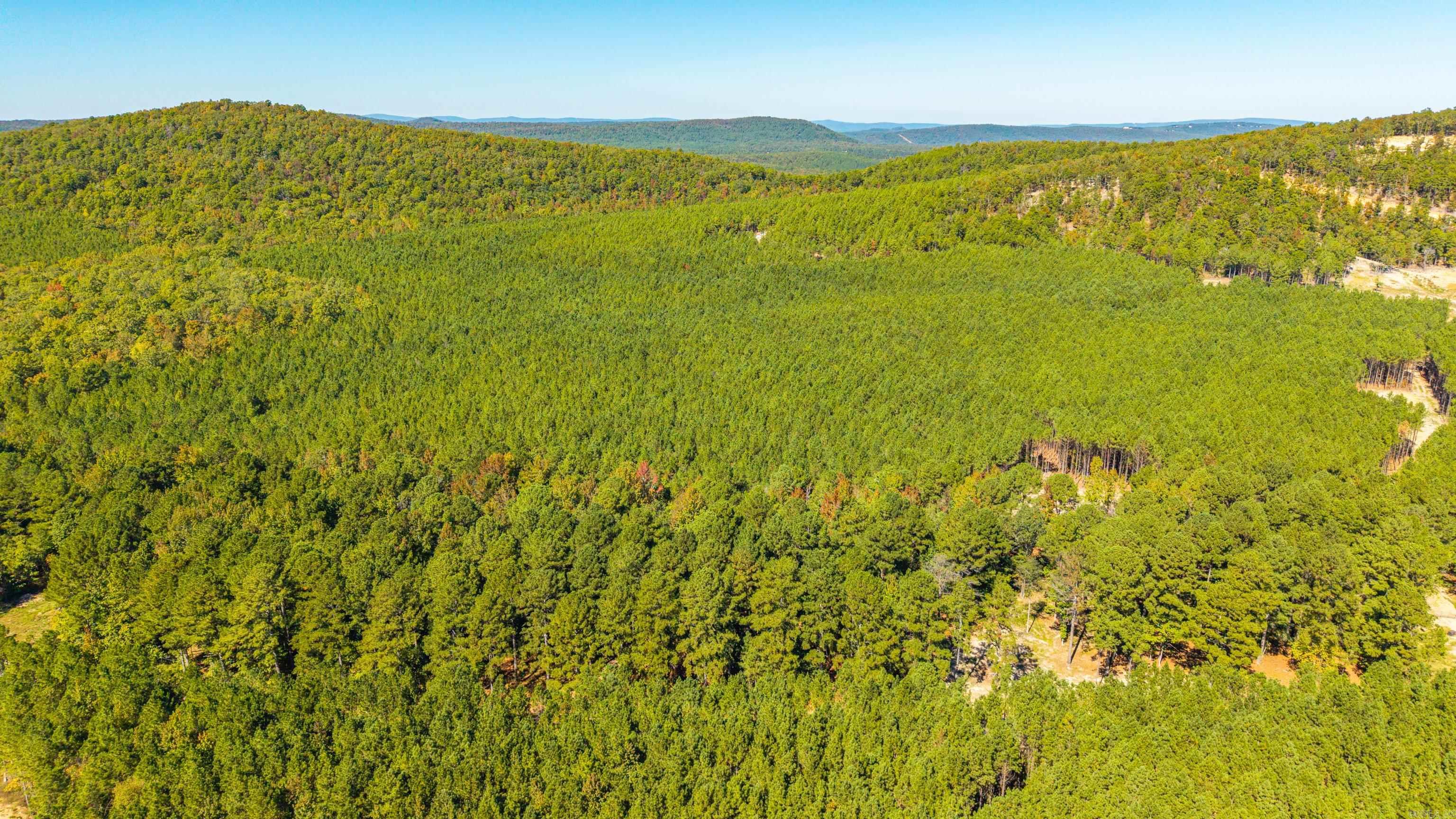 003 Stihl Rd 10. Hot Springs, AR