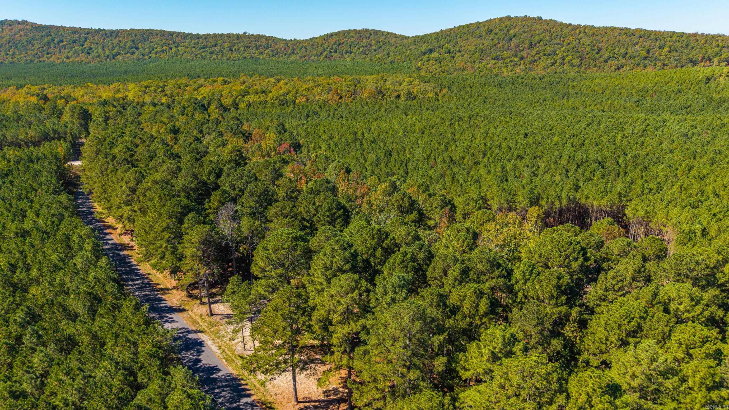 003 Stihl Rd 10. Hot Springs, AR