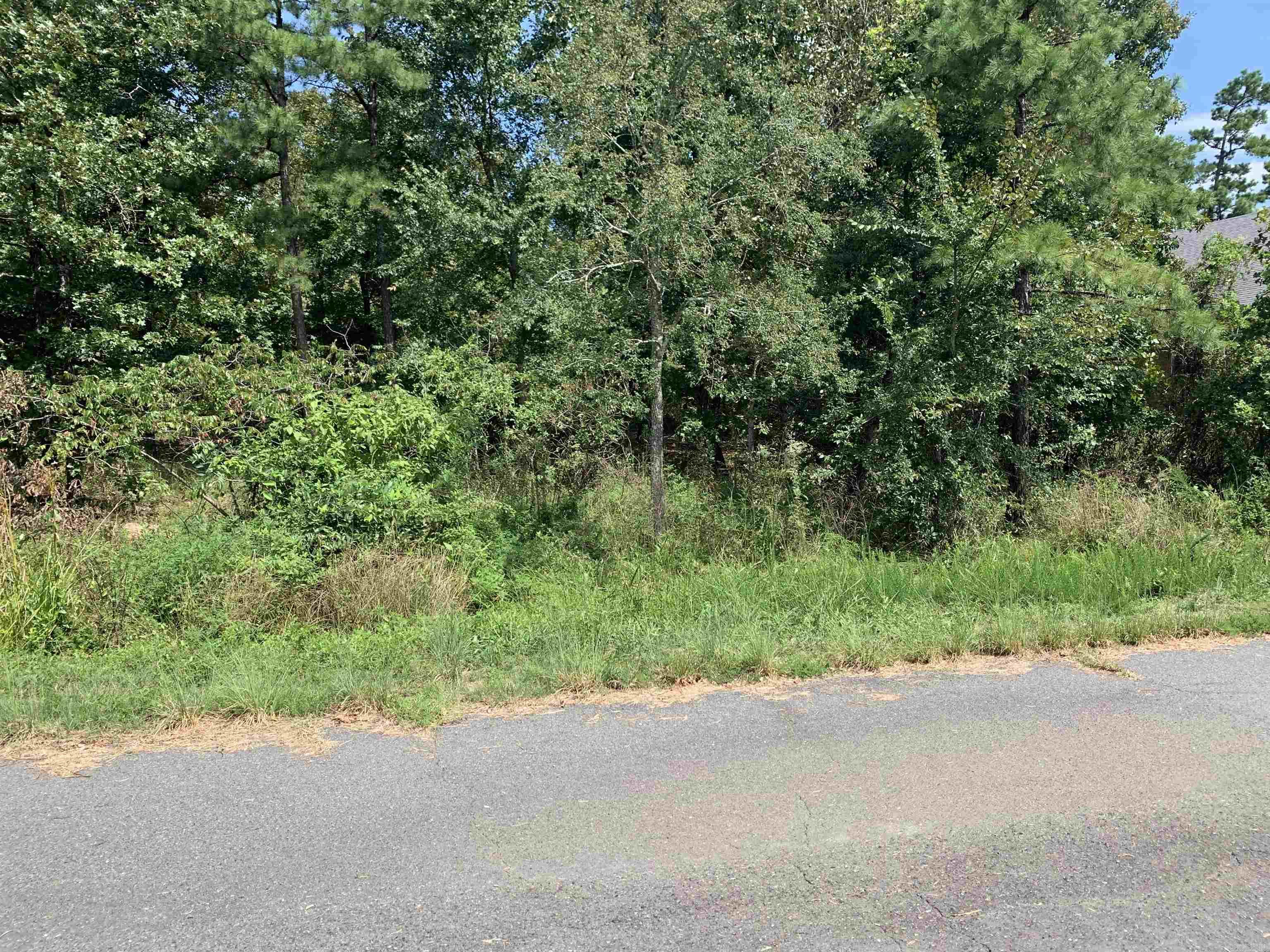 32 Ochavo  Hot Springs Village, AR