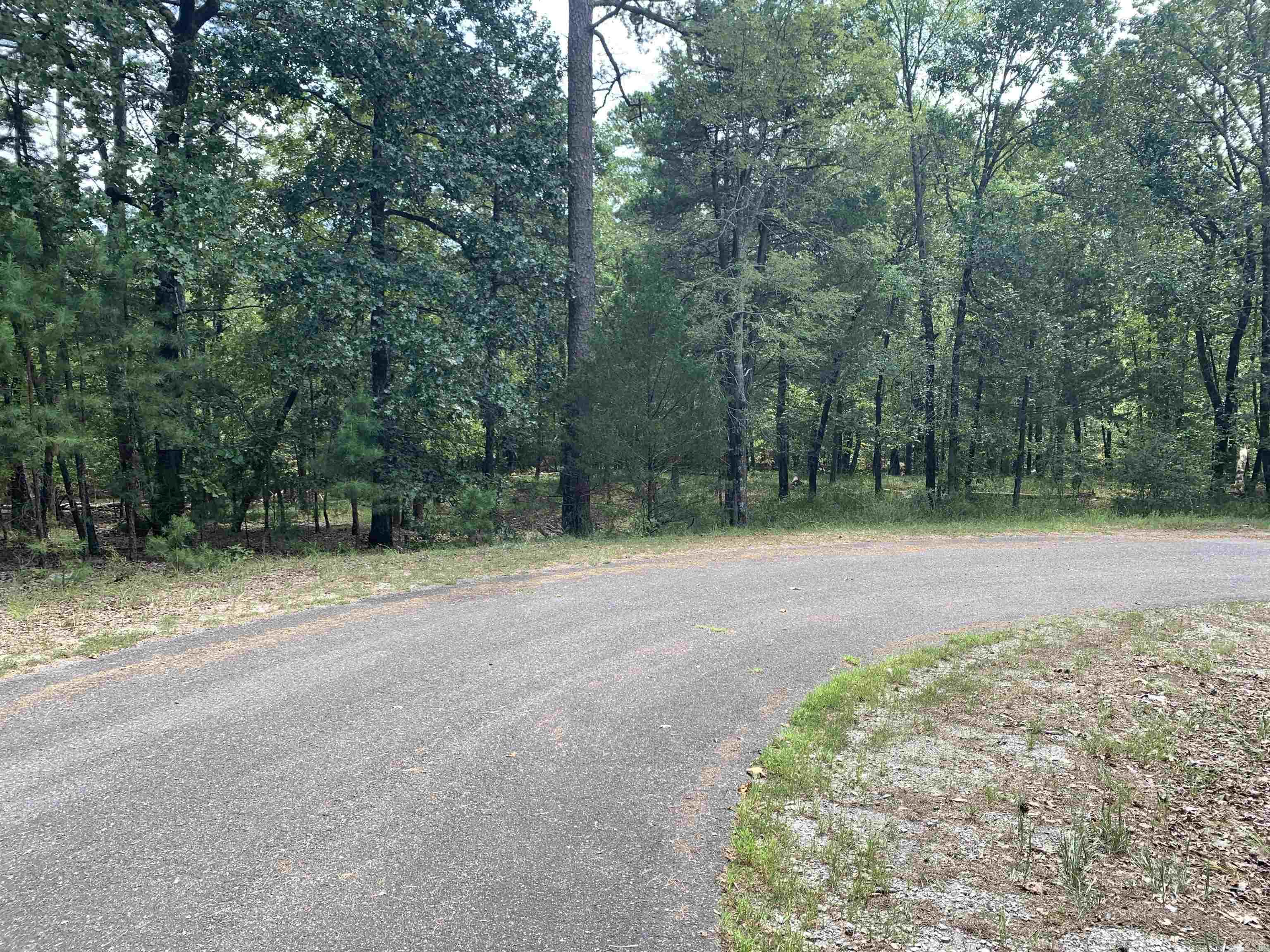 4 Ermalinda  Hot Springs Village, AR