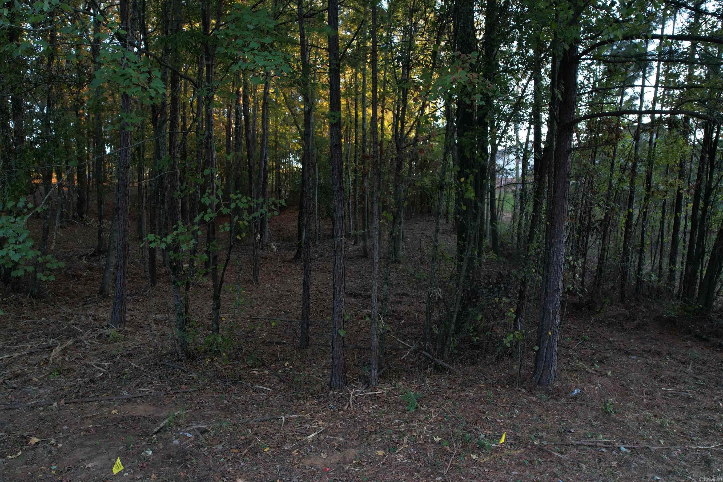 000 Pinecrest  Sheridan, AR