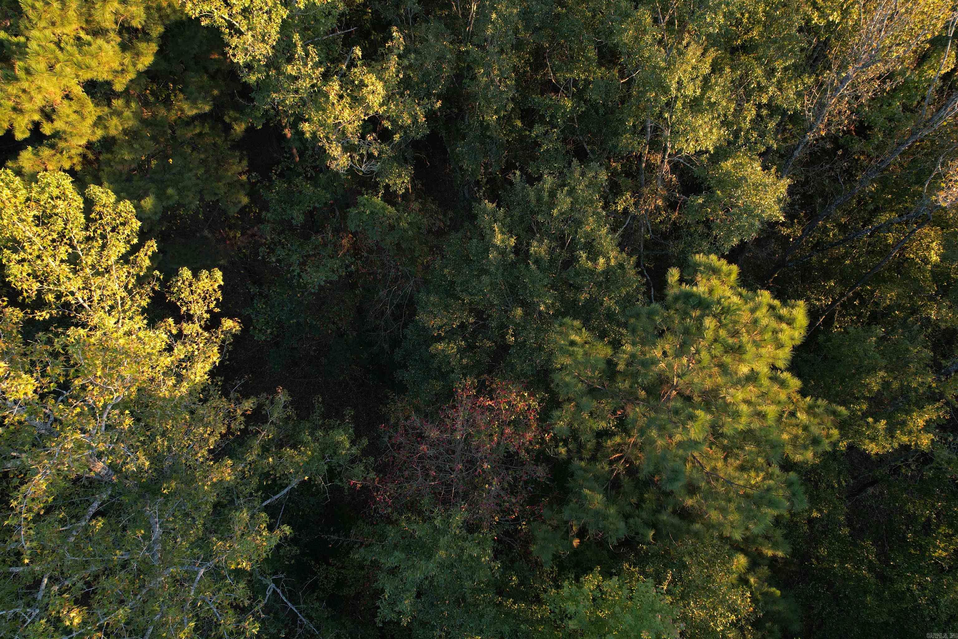 Lot 1 & 2 Pinecrest  Sheridan, AR