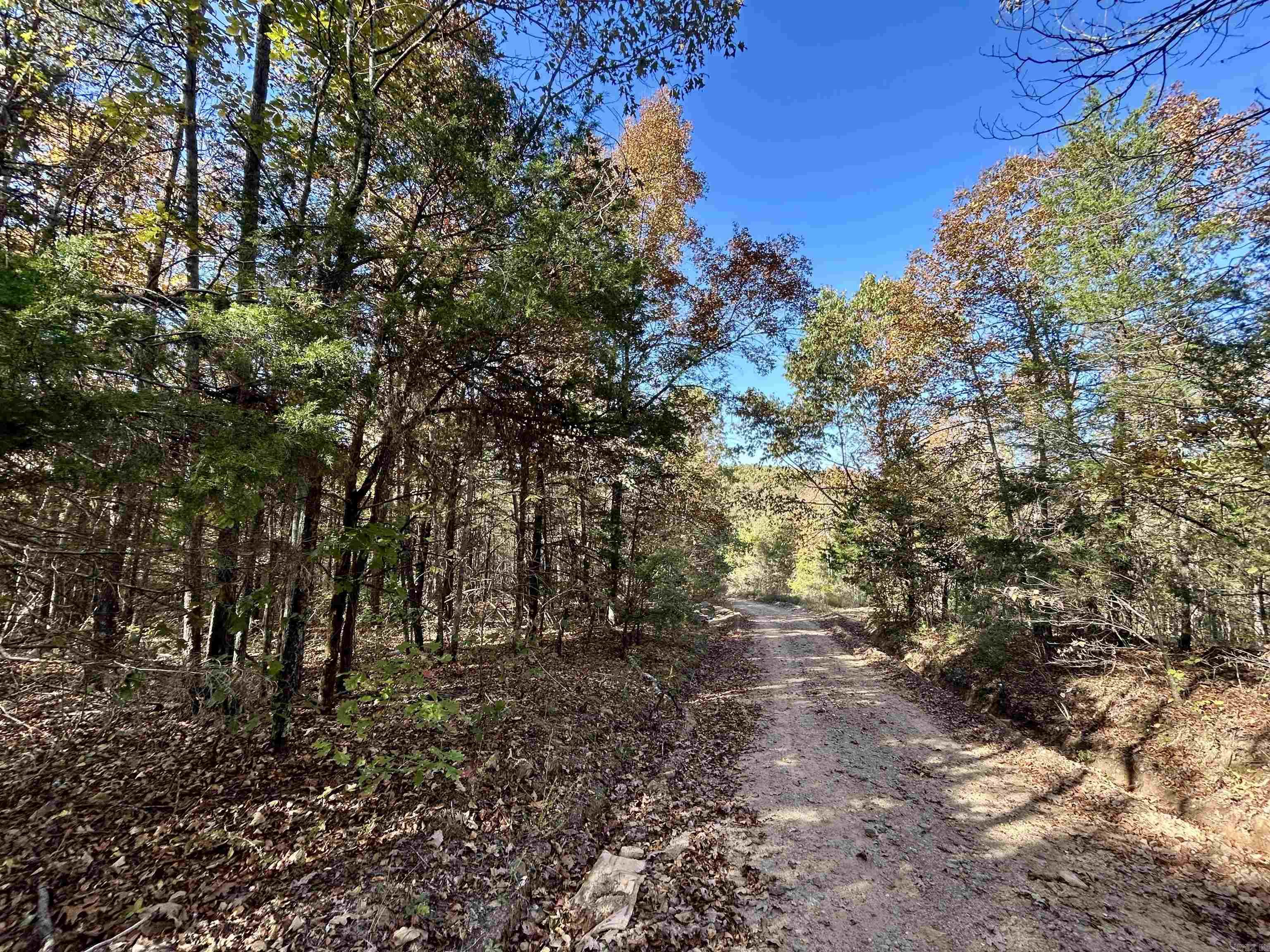 000 Highway 9 South  Mountain View, AR