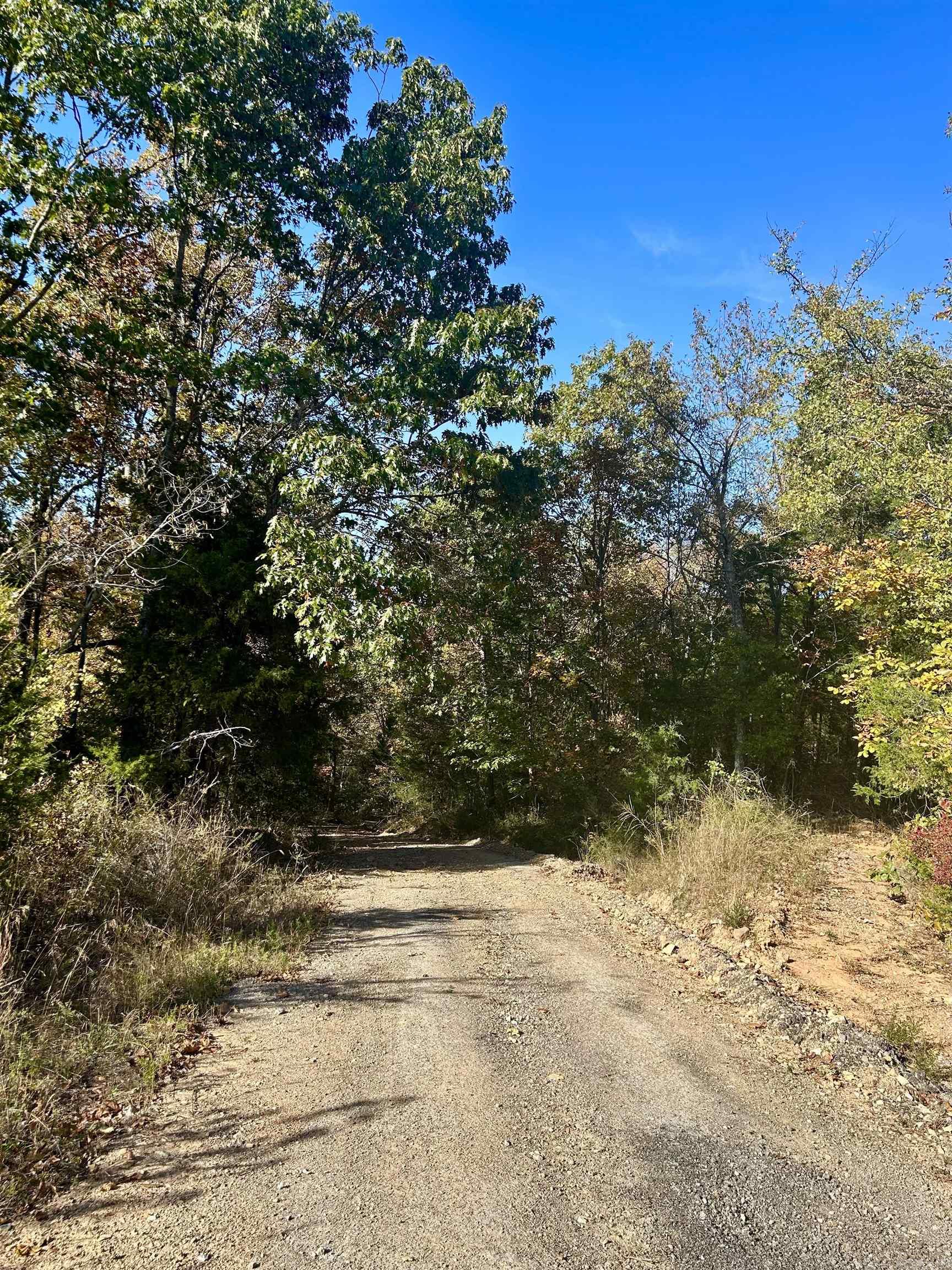 000 Highway 9 South  Mountain View, AR