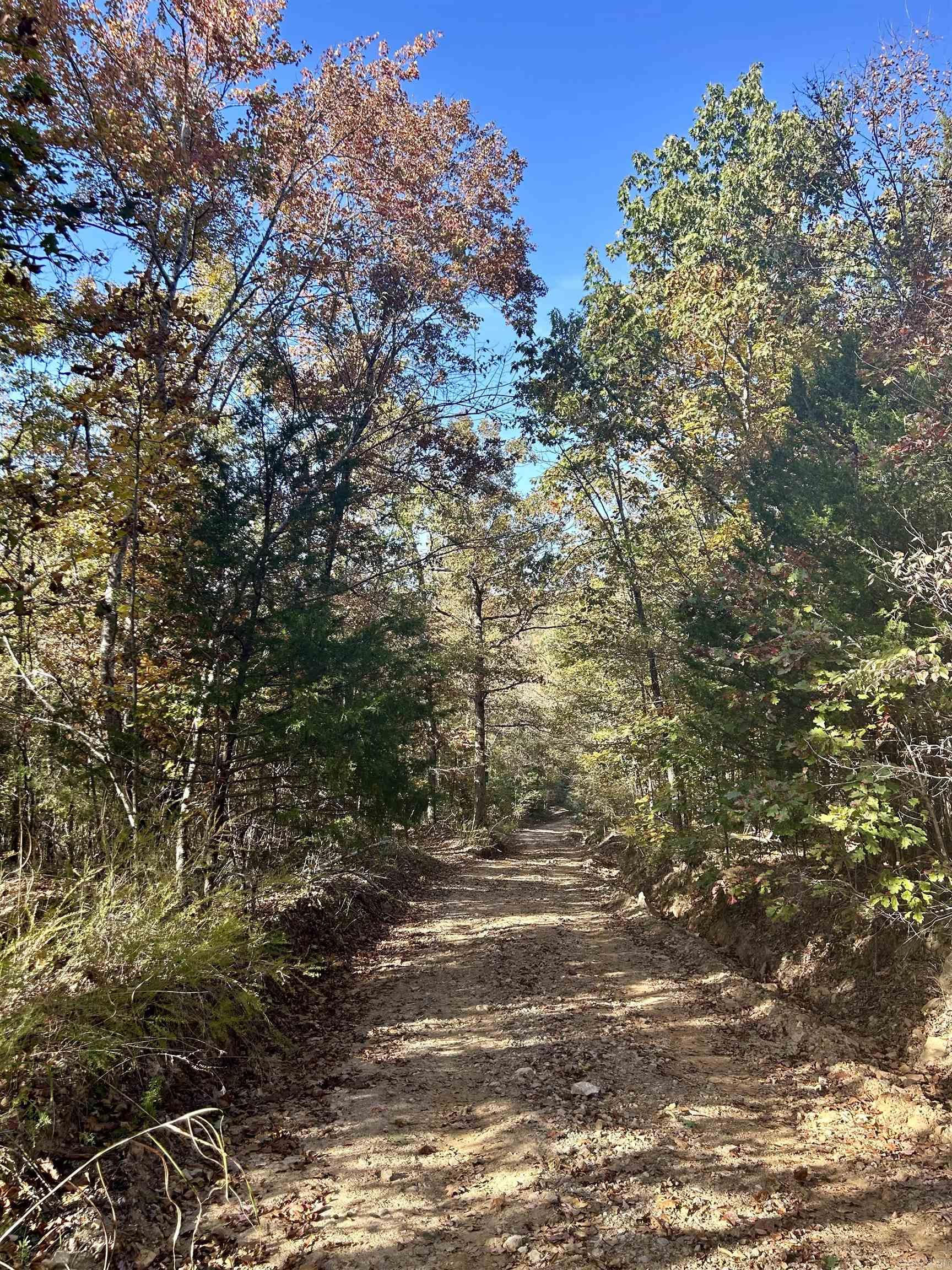 000 Highway 9 South  Mountain View, AR