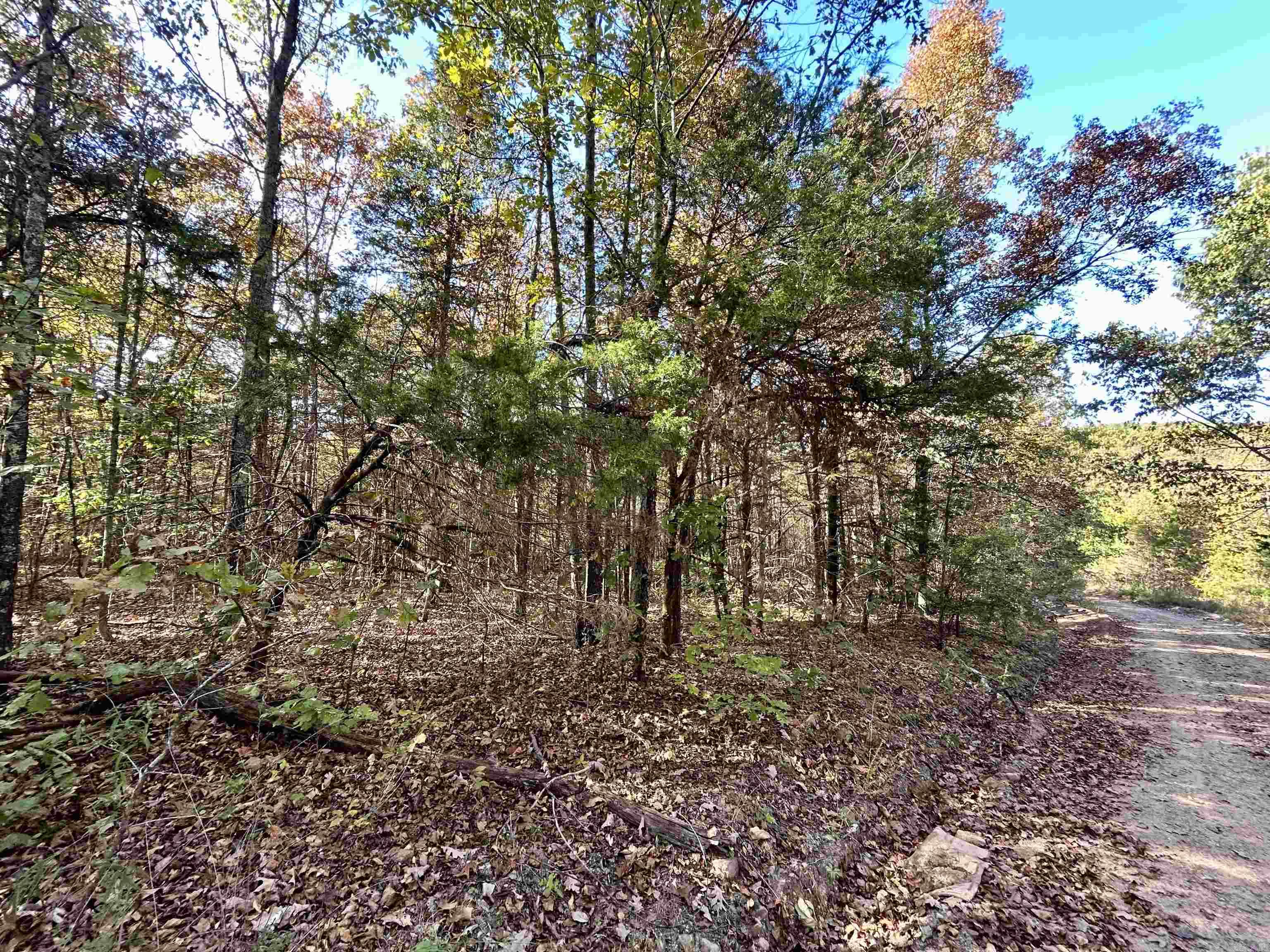 000 Highway 9 South  Mountain View, AR