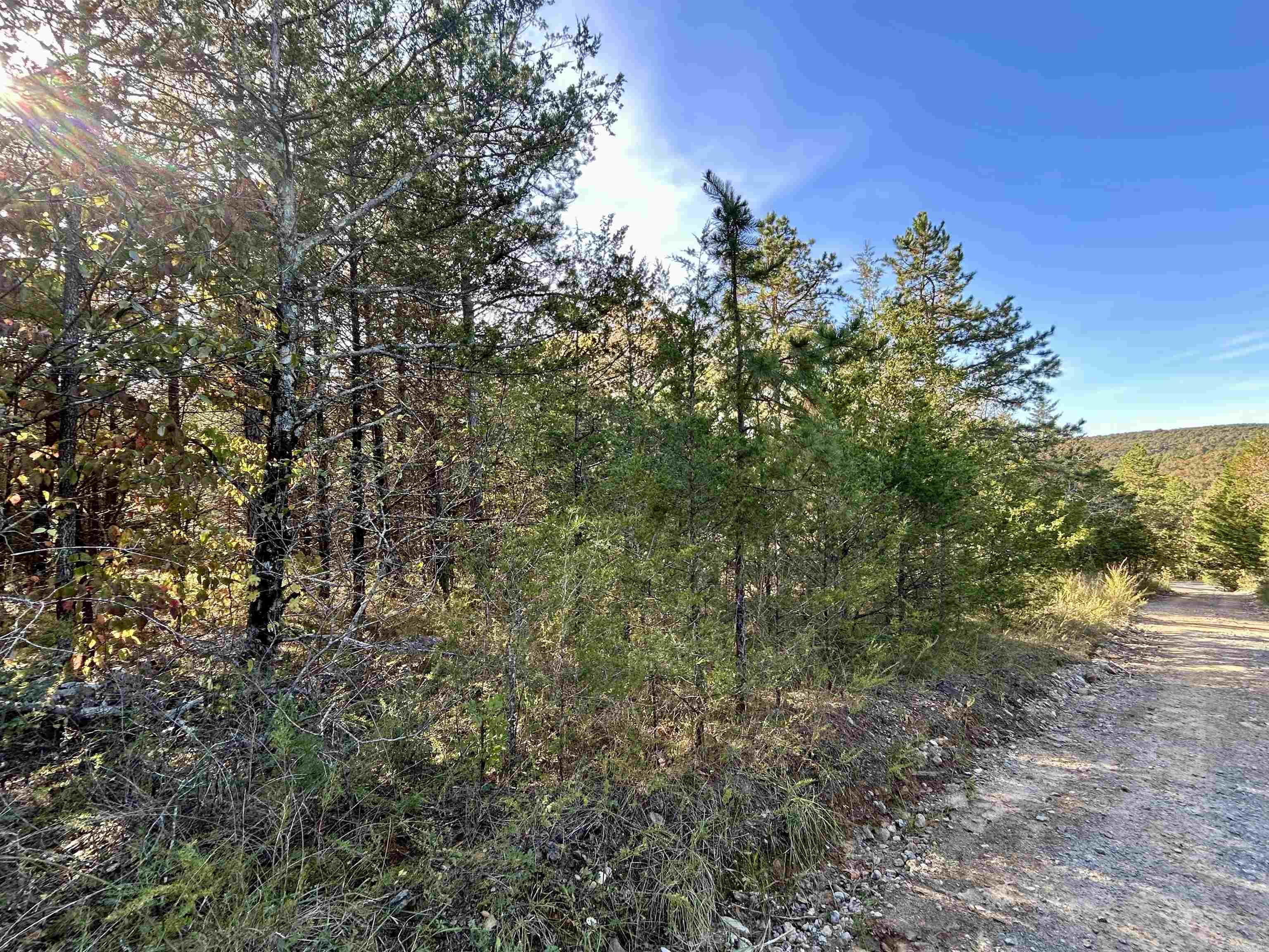 000 Highway 9 South  Mountain View, AR