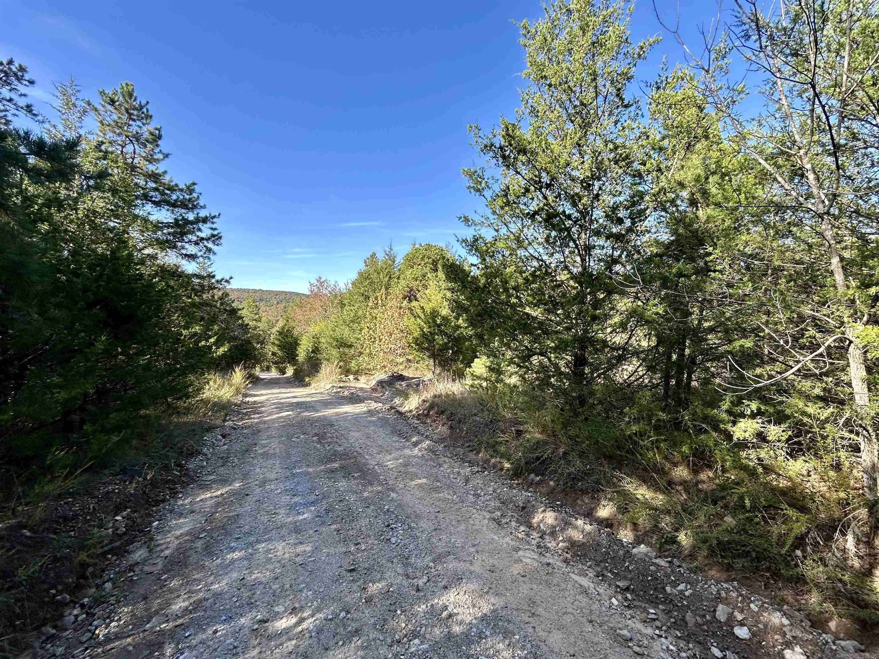 000 Highway 9 South  Mountain View, AR