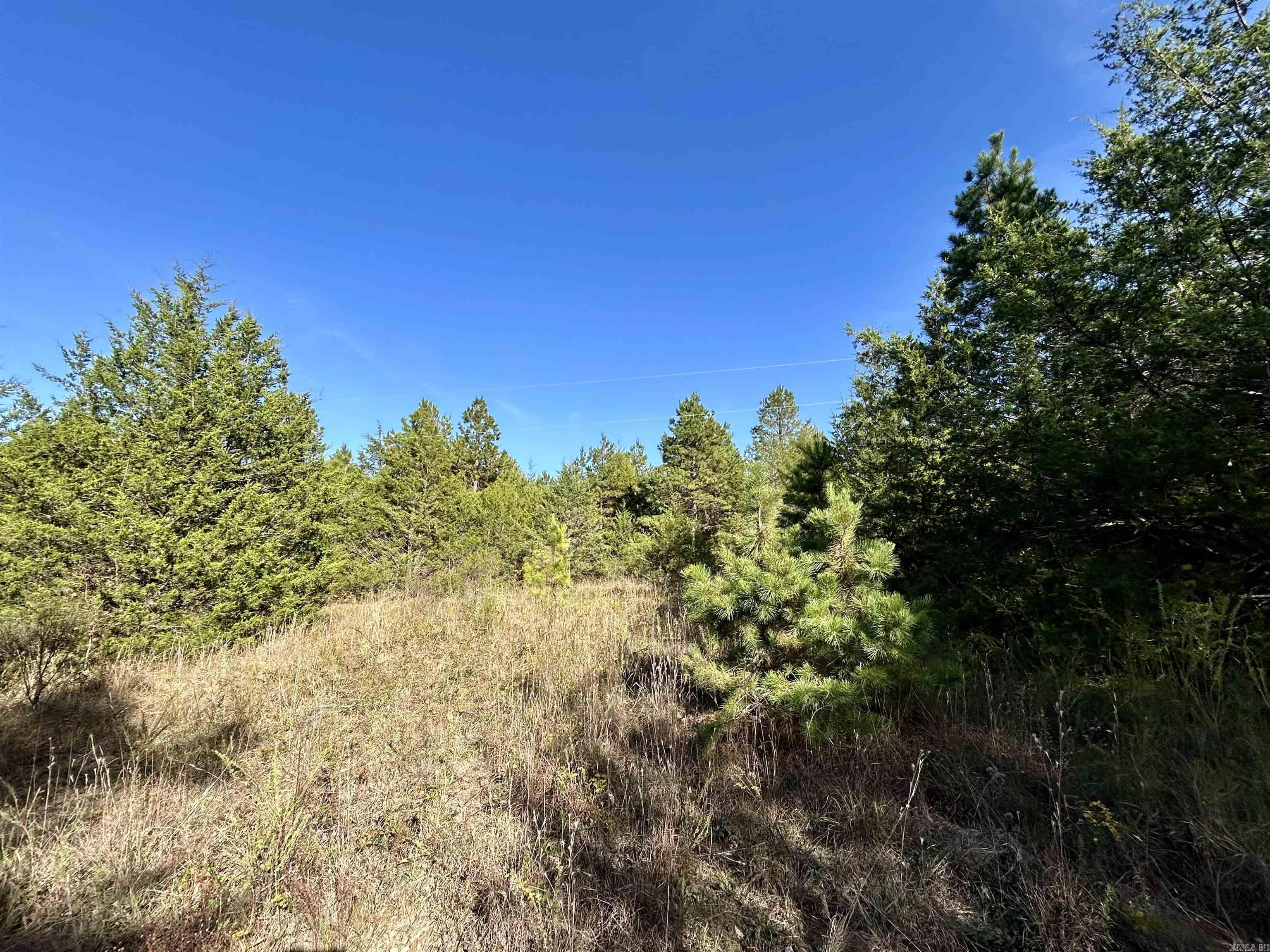 000 Highway 9 South  Mountain View, AR