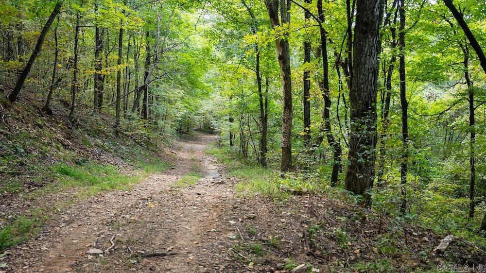 10642 Fancher Drive  Harrison, AR