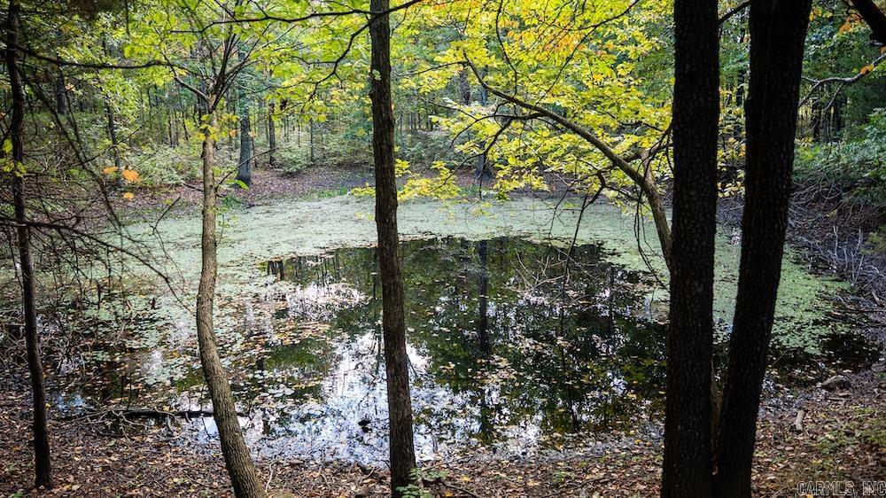 10642 Fancher Drive  Harrison, AR