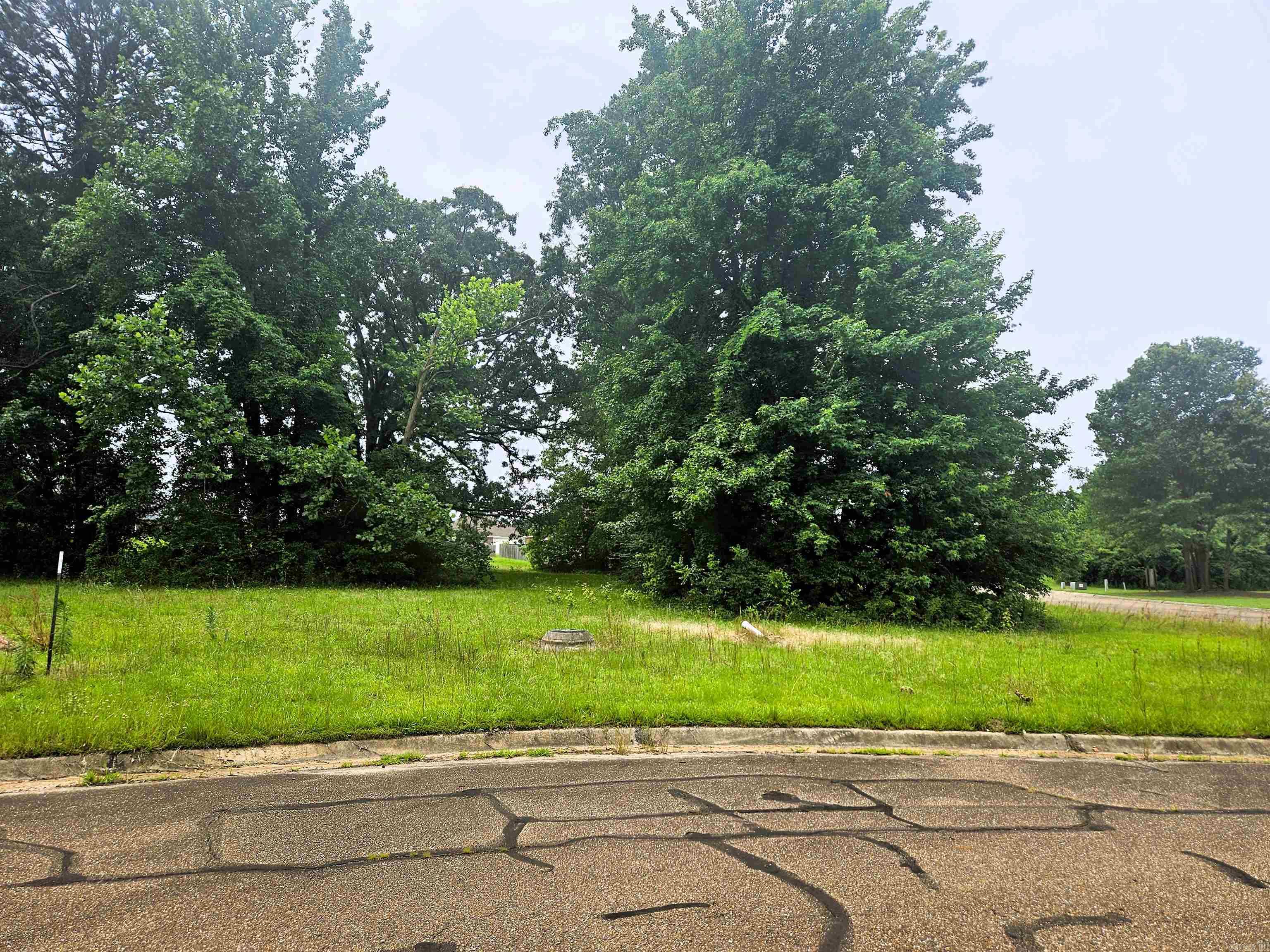 Lot 1 High -Cooper Lane Estate III  Texarkana, TX