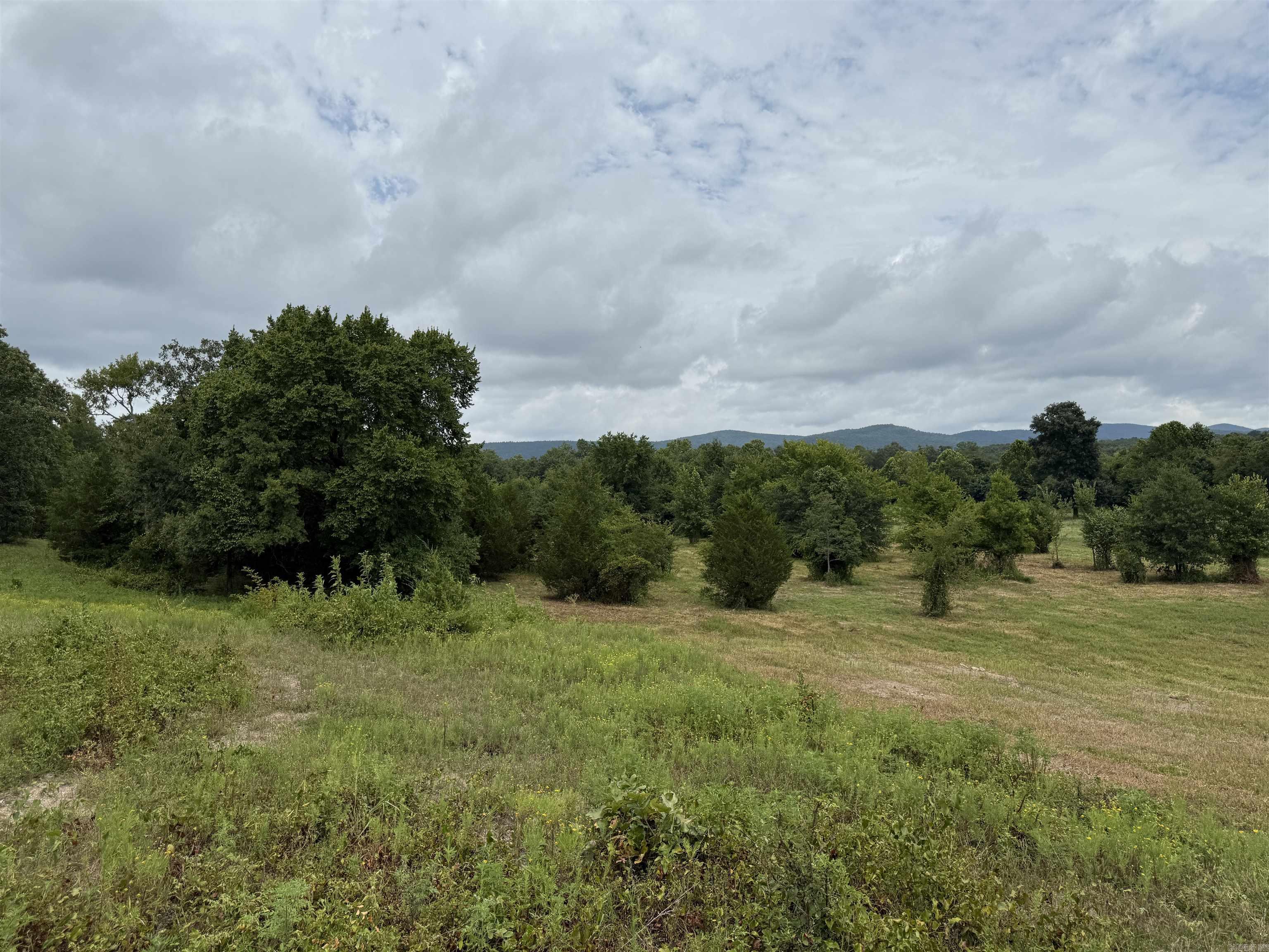 XXX Polk Road 71  Mena, AR