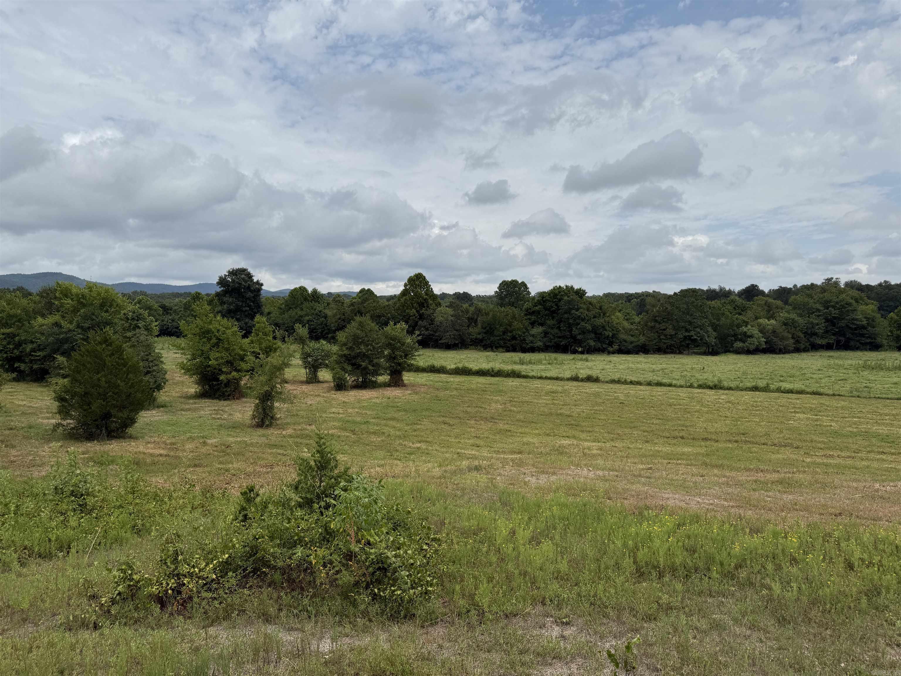 XXX Polk Road 71  Mena, AR