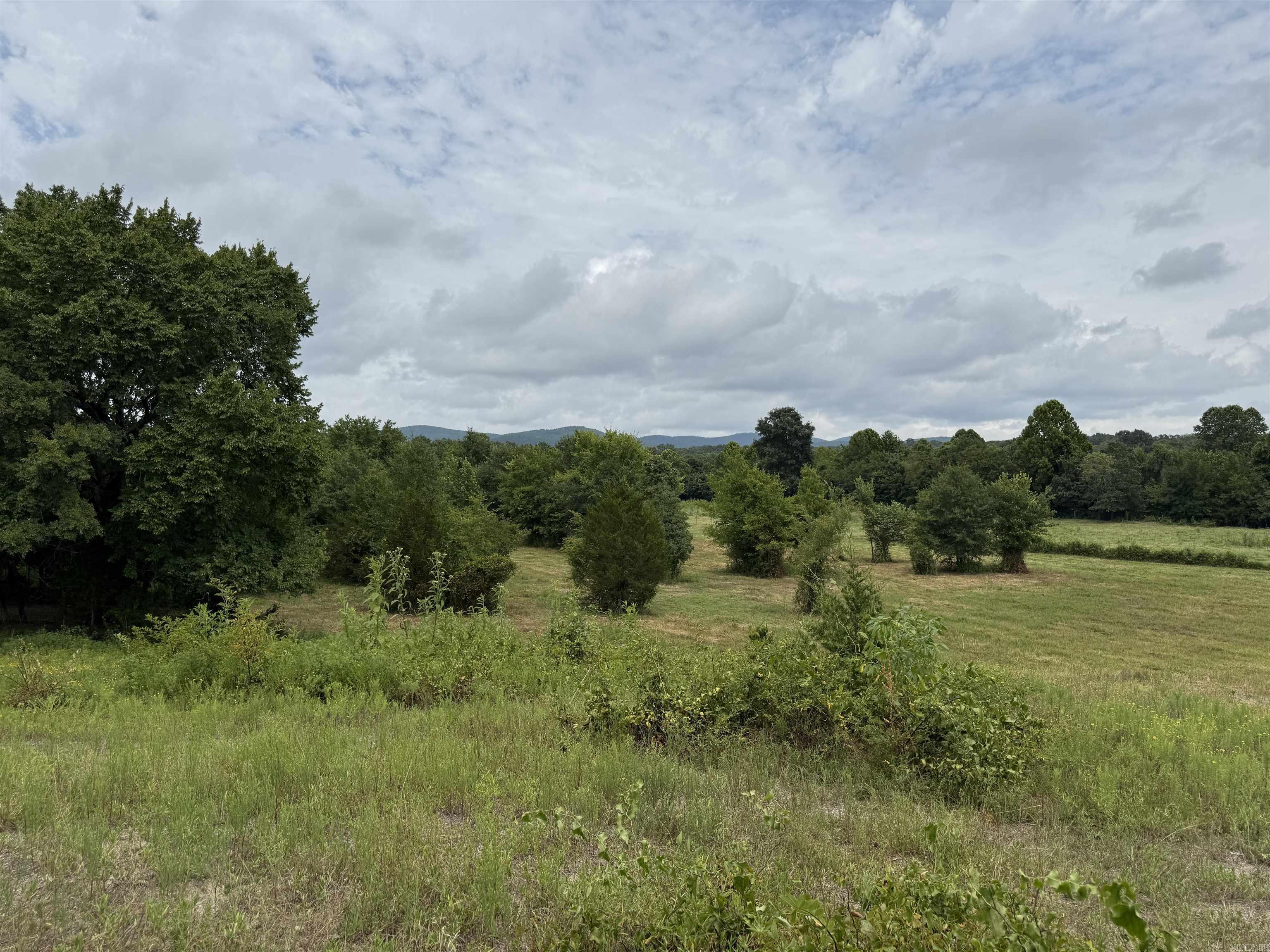 XXX Polk Road 71  Mena, AR