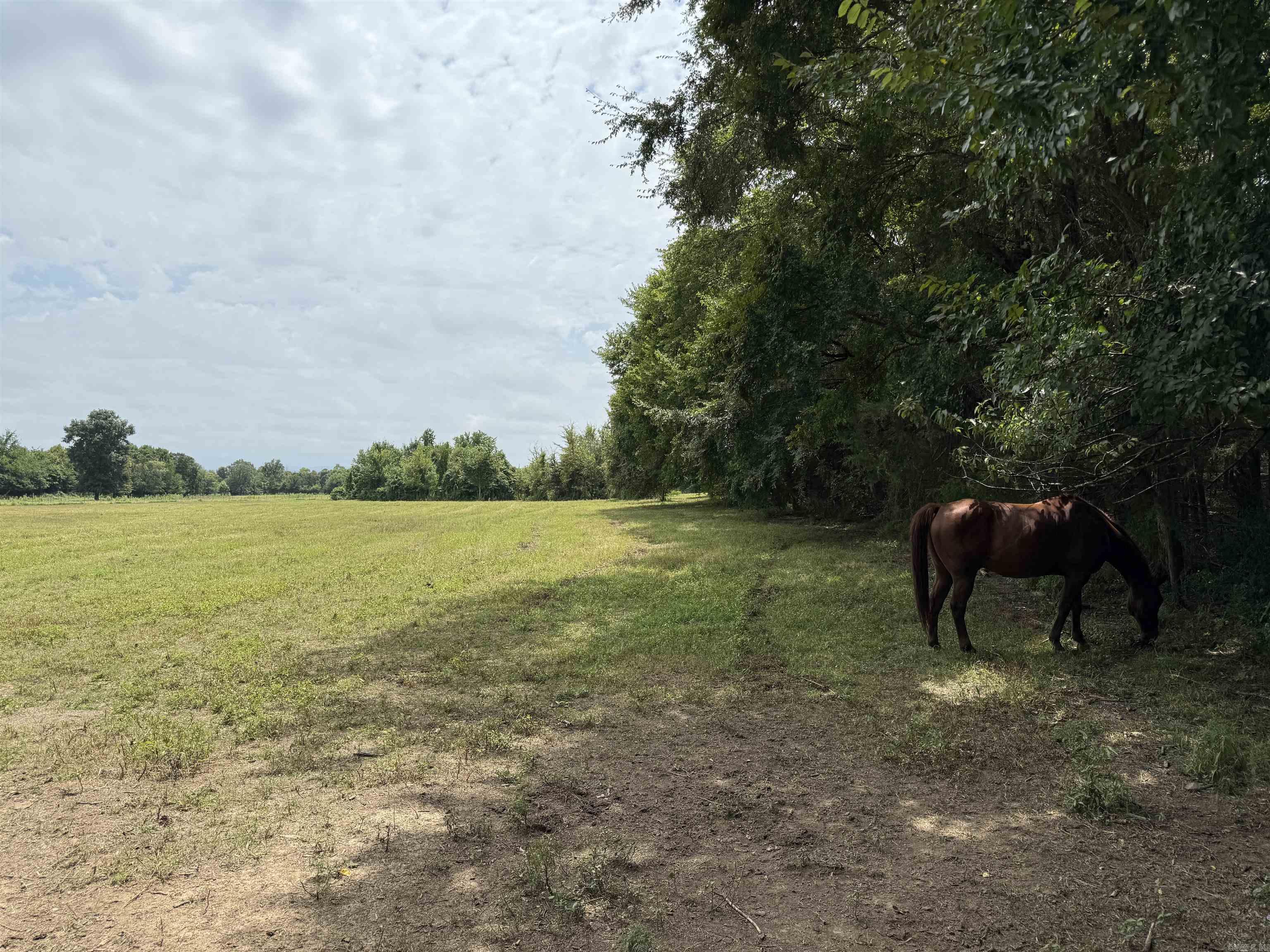 XXX Polk Road 71  Mena, AR