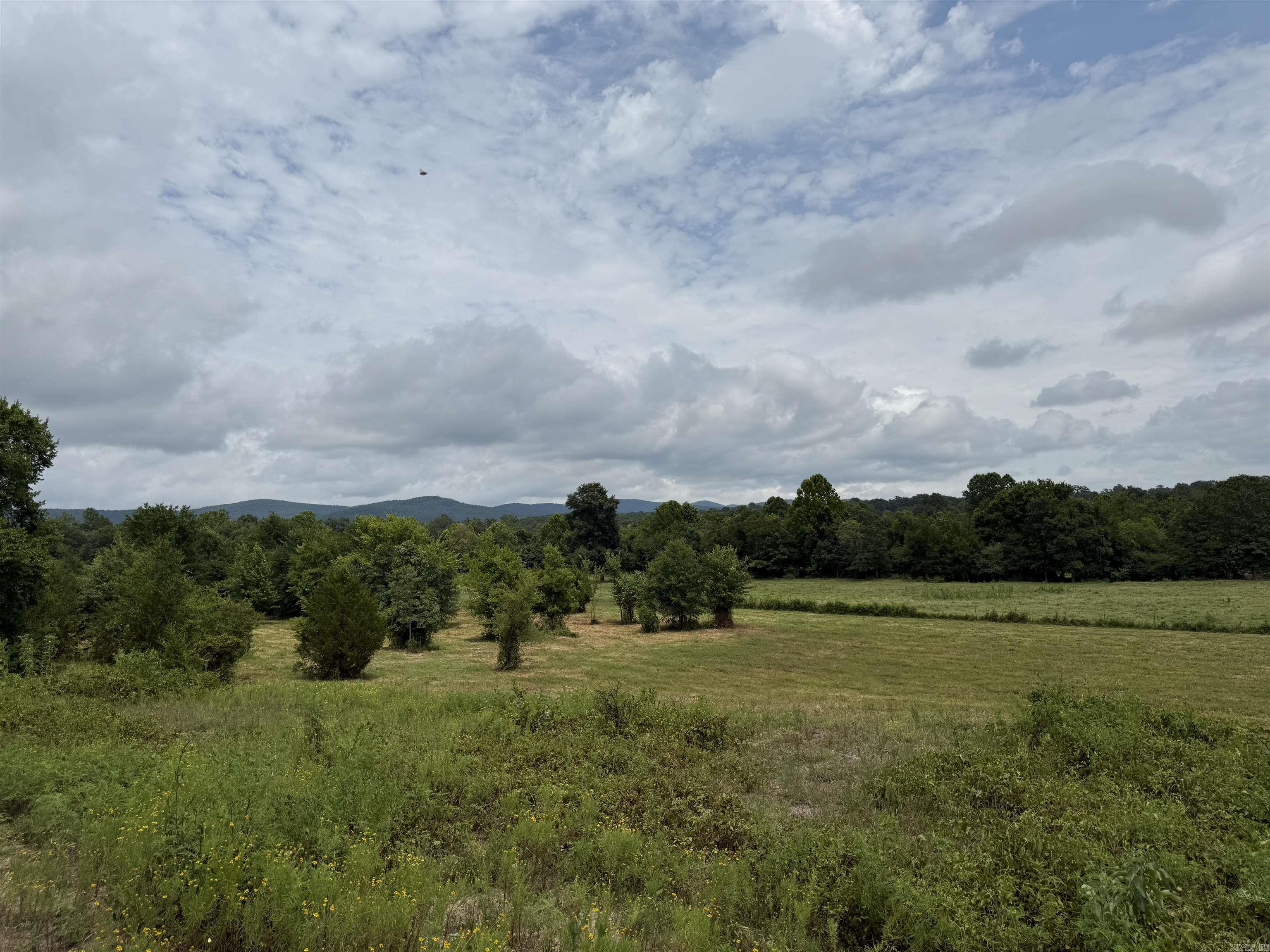 XXX Polk Road 71  Mena, AR