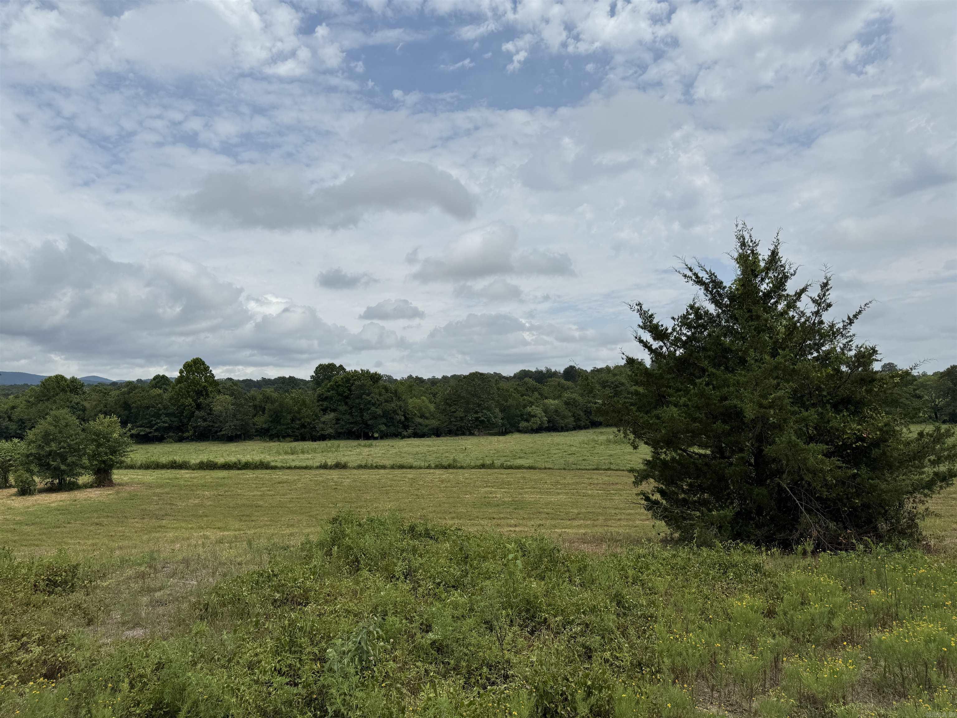 XXX Polk Road 71  Mena, AR