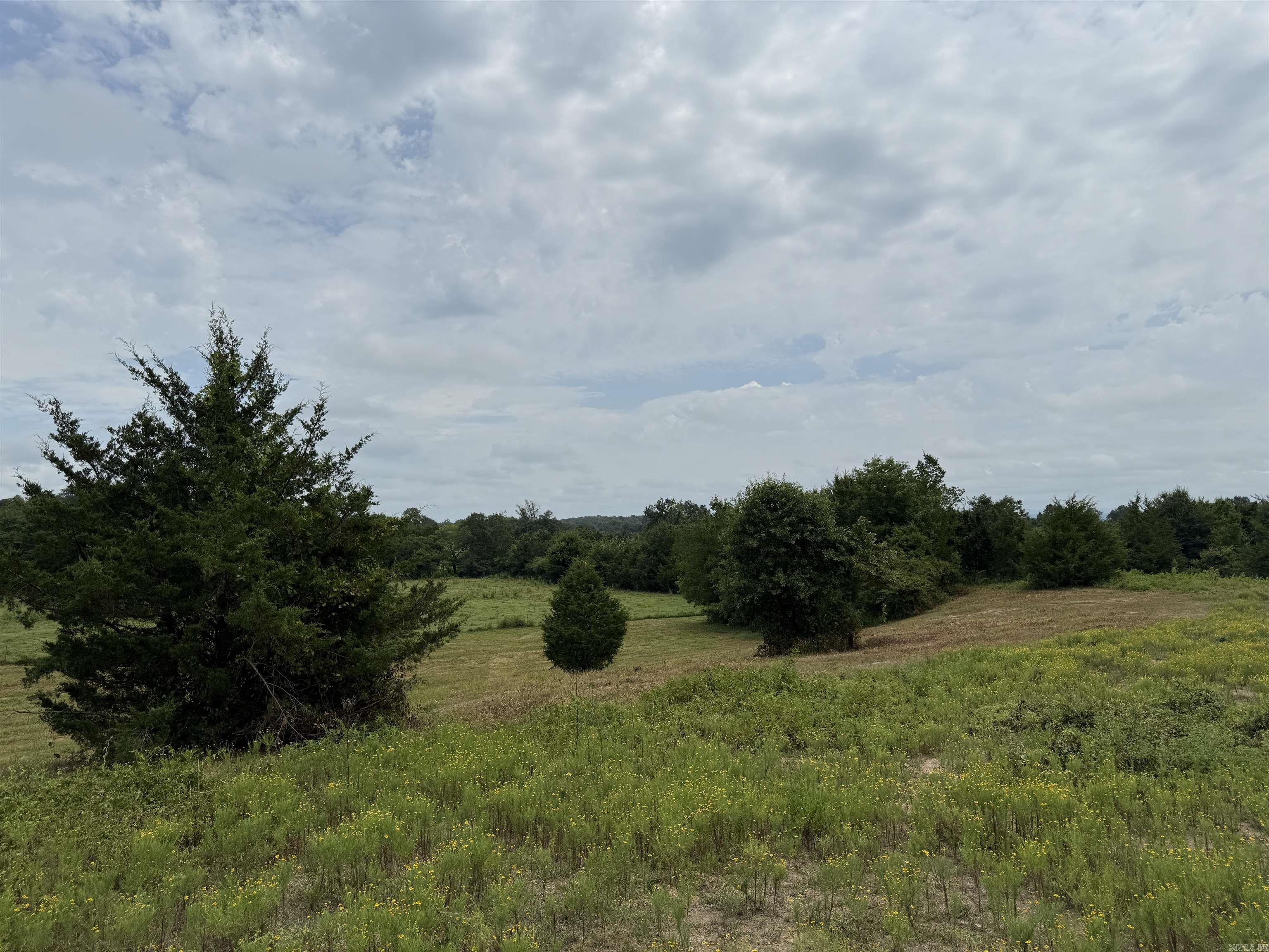 XXX Polk Road 71  Mena, AR