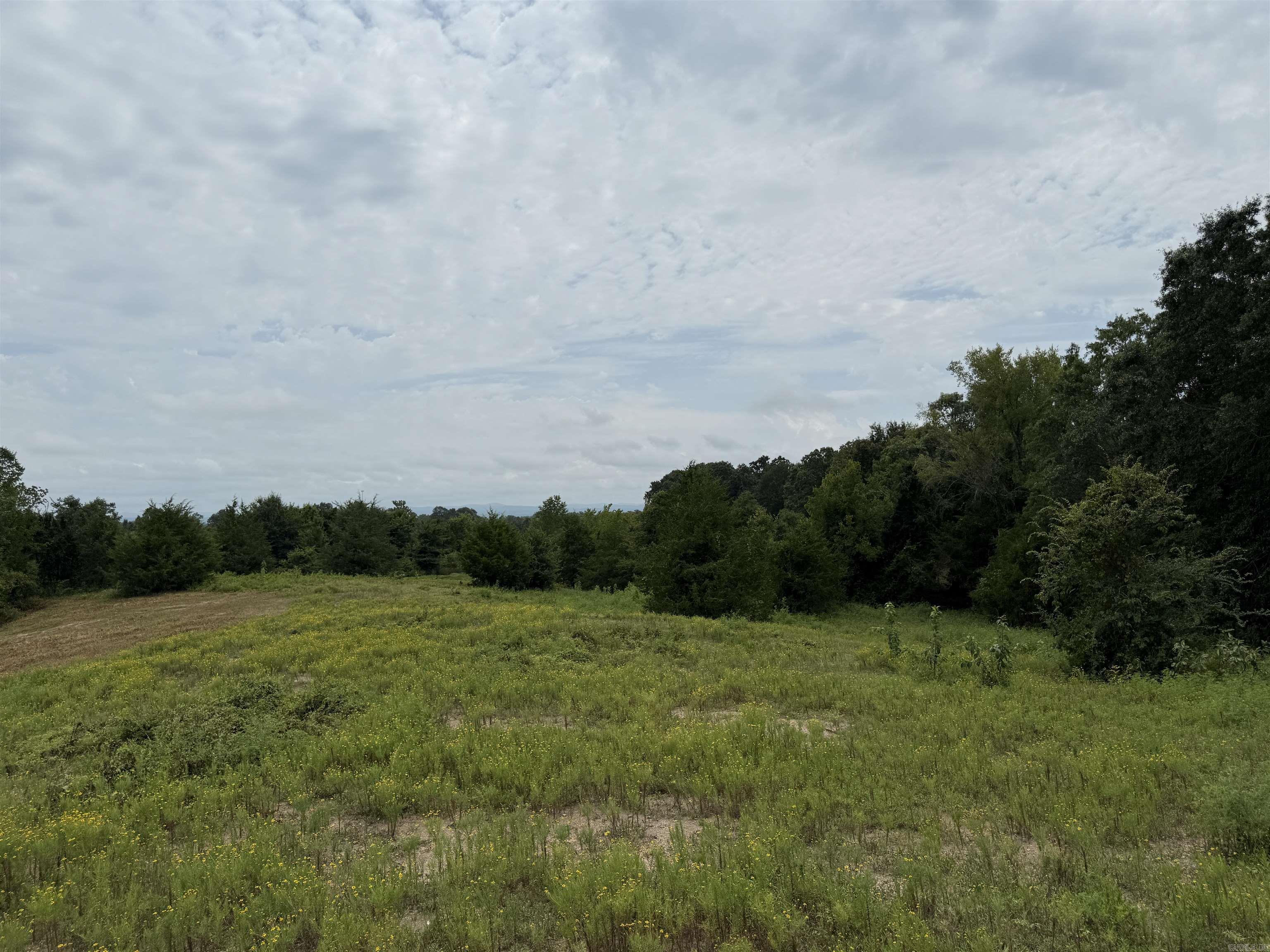 XXX Polk Road 71  Mena, AR