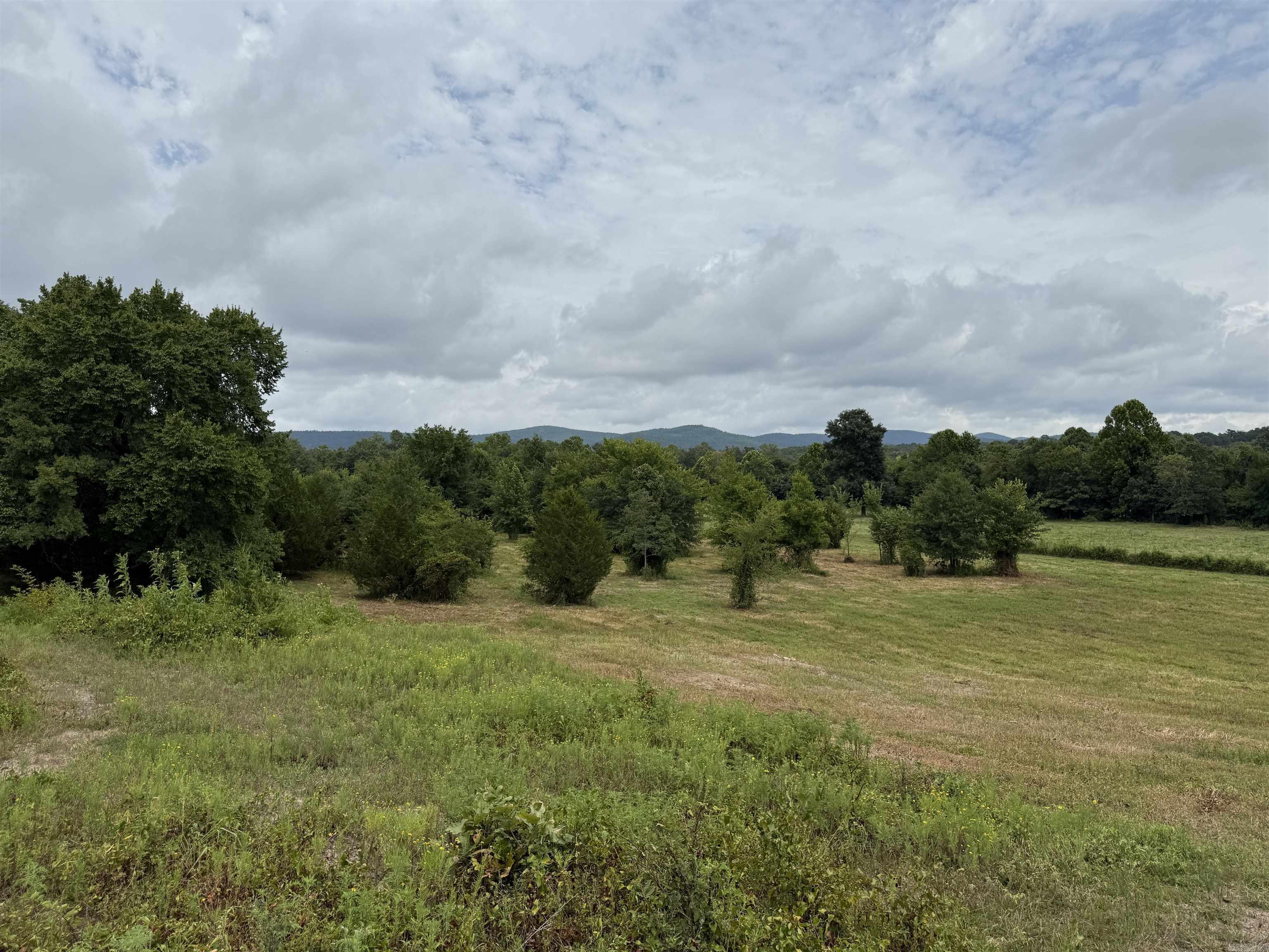 XXX Polk Road 71  Mena, AR