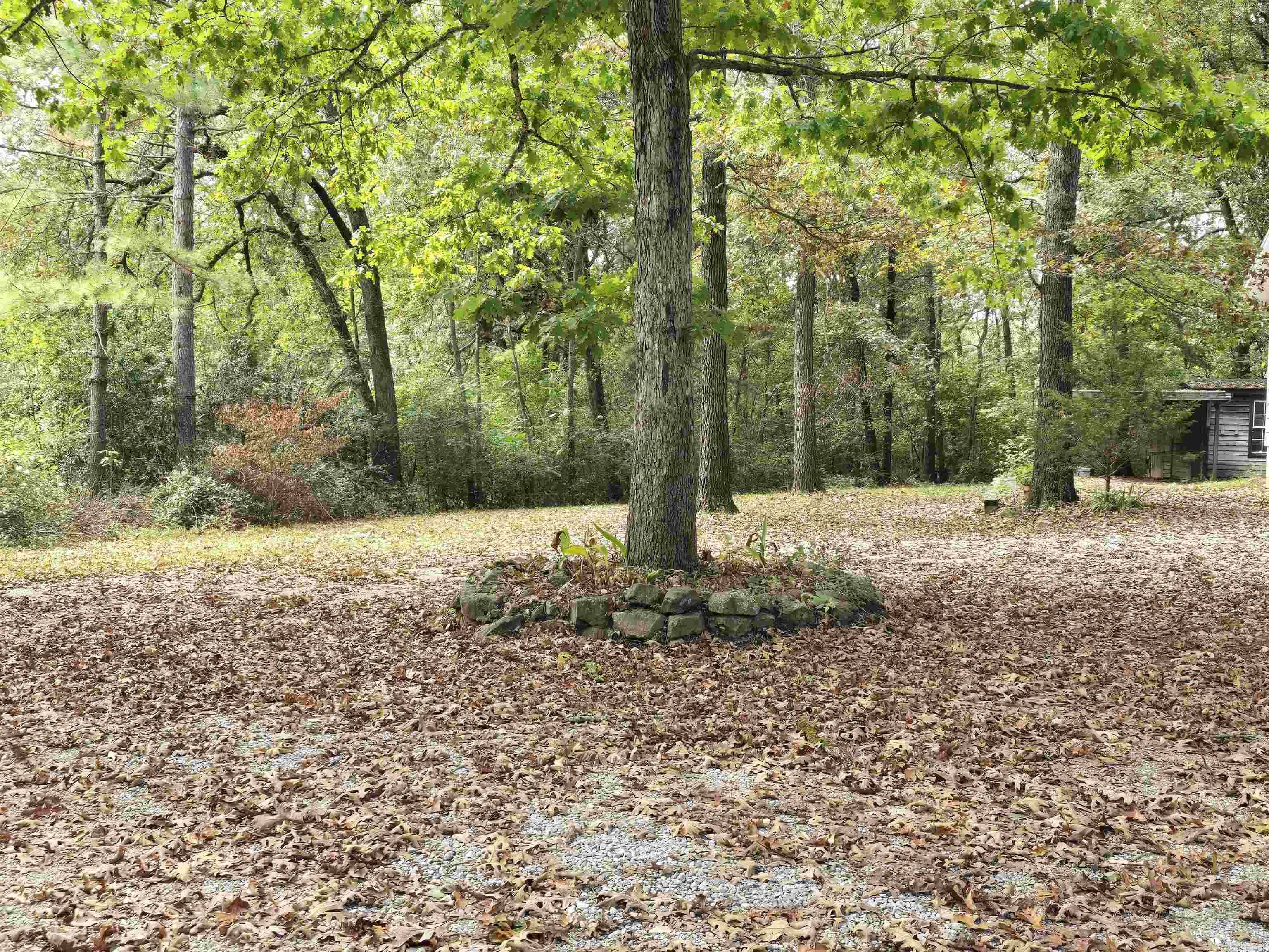 208 Violet Street Batesville, AR 72501