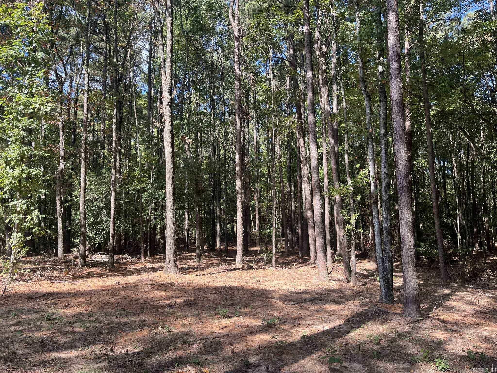 1568 Hwy 278  Wickes, AR