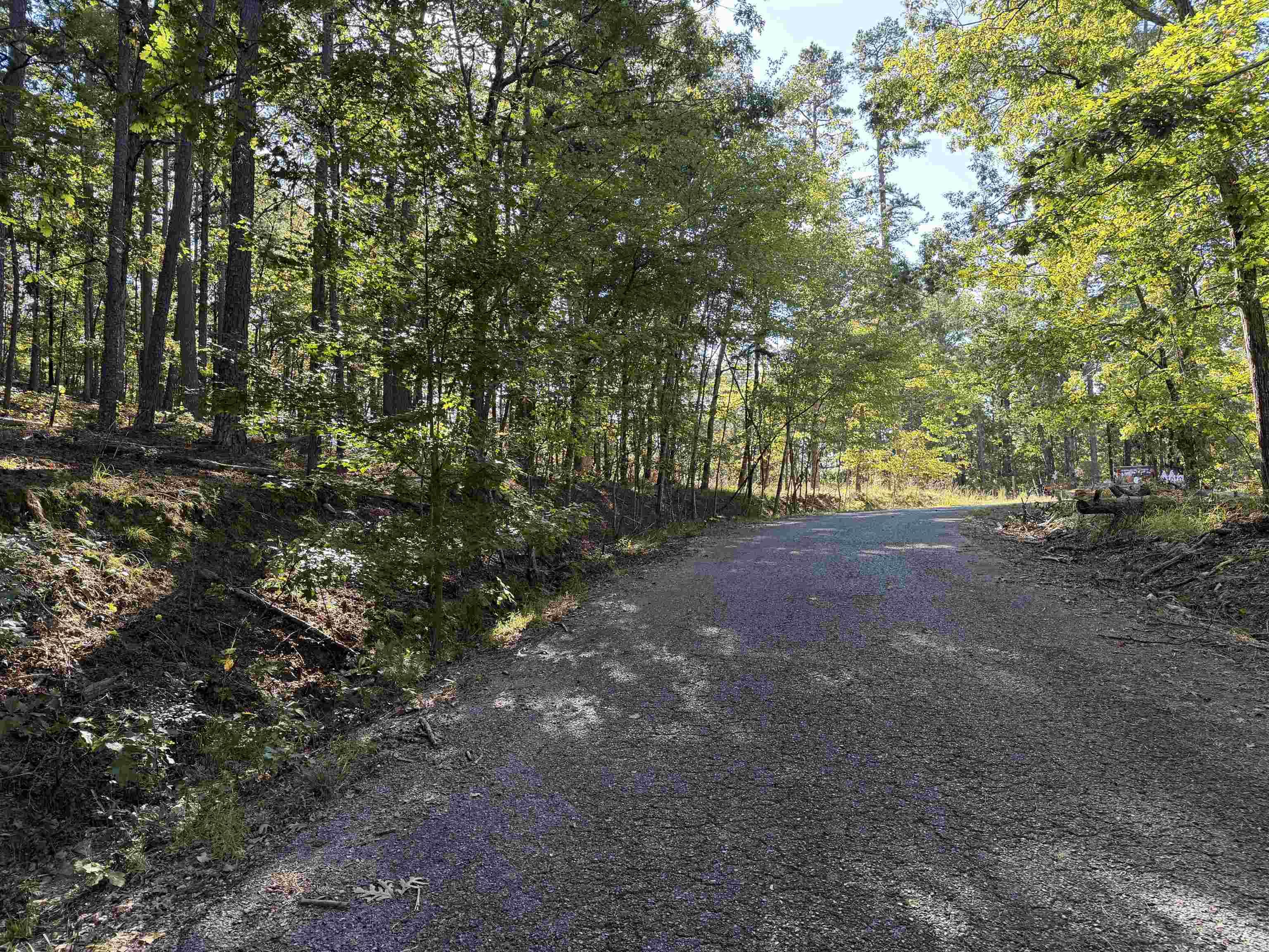 00 Gabriela  Hot Springs Village, AR