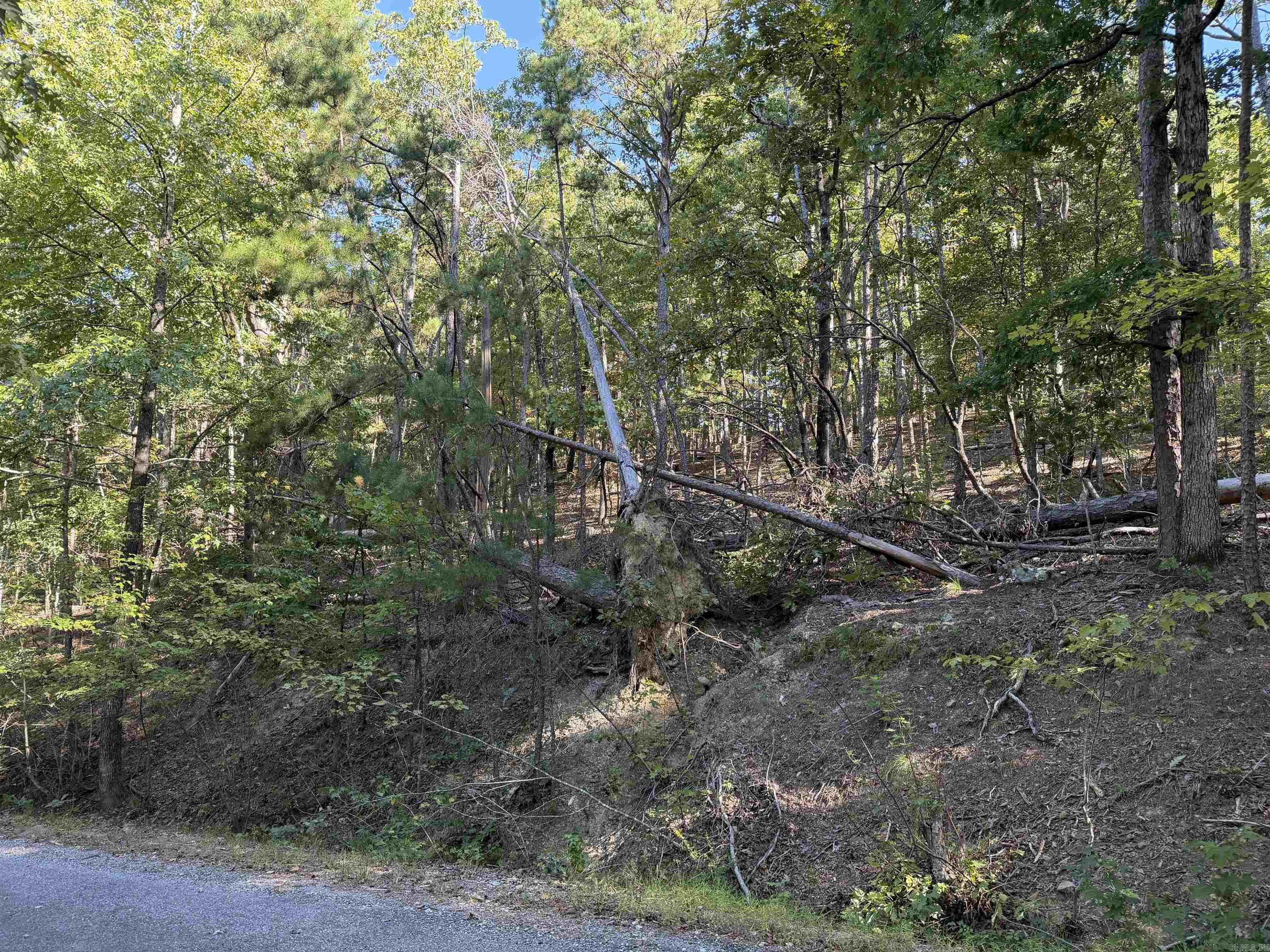 00 Gabriela  Hot Springs Village, AR